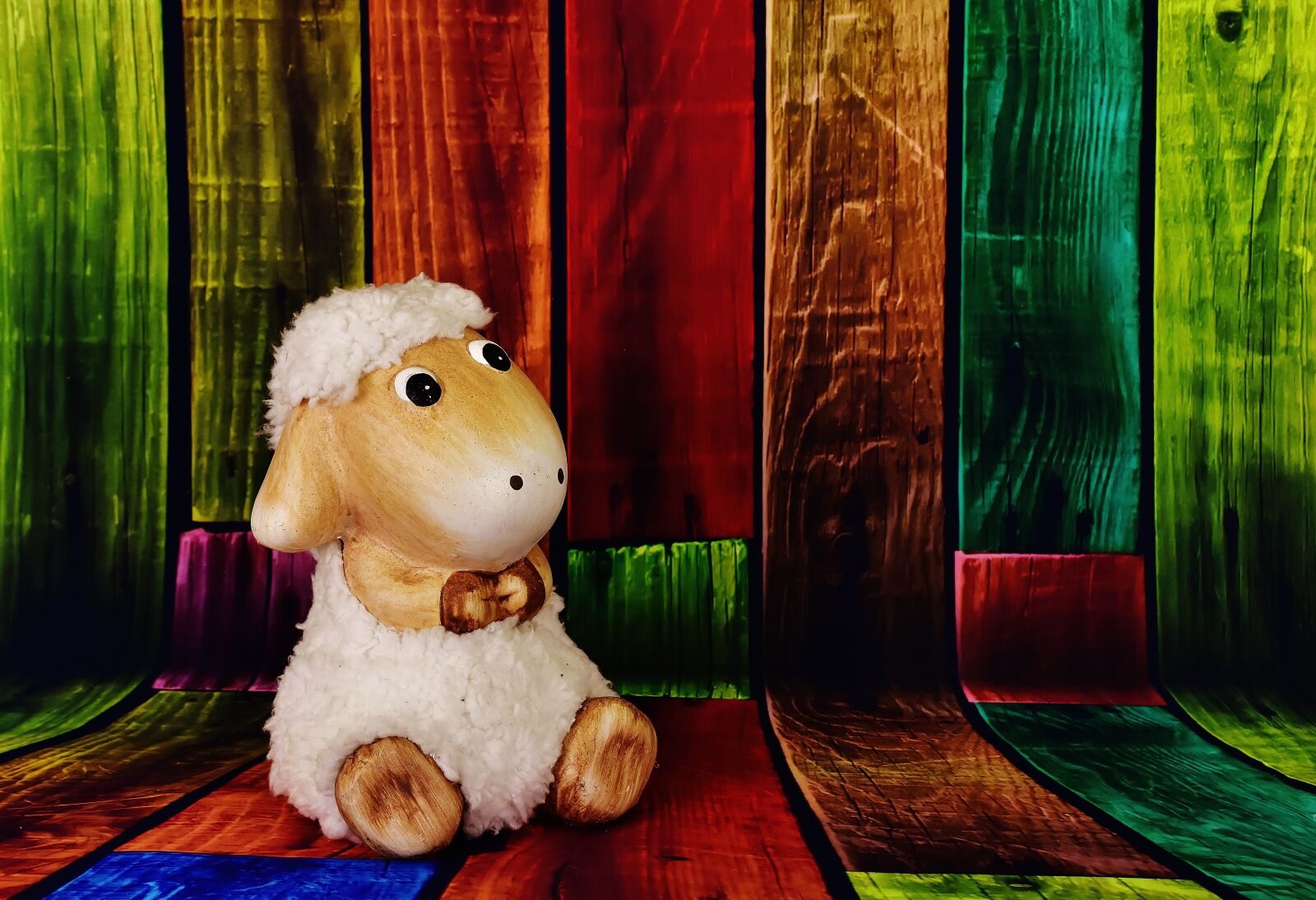 Nikon D7200 sample photo. Figure, sheep, funny photography