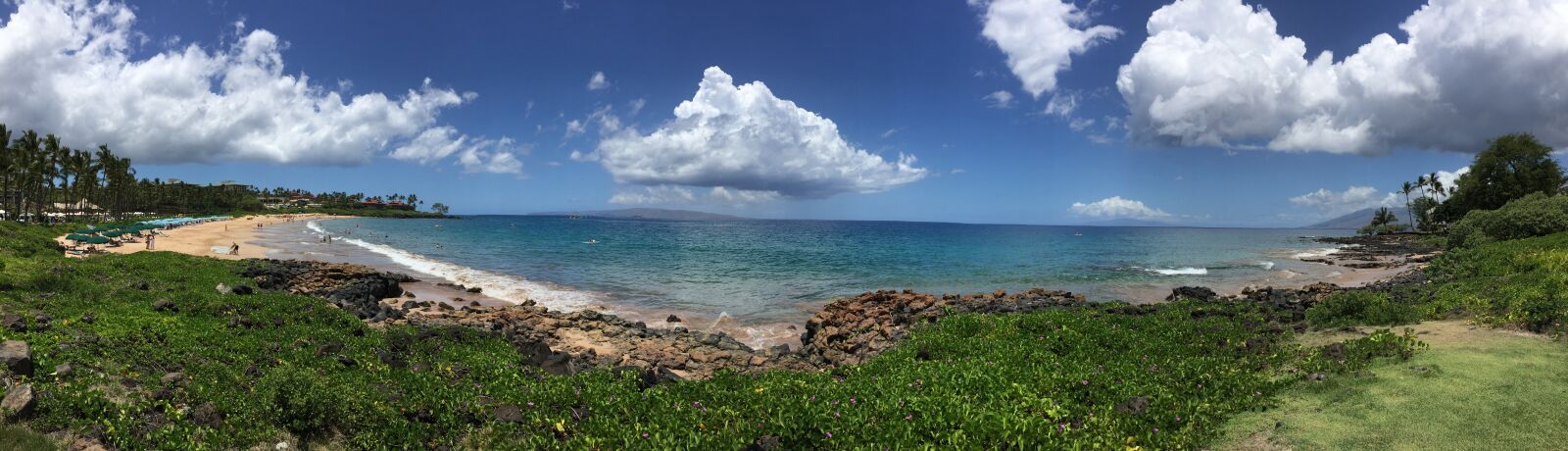 iPhone 6 Plus back camera 4.15mm f/2.2 sample photo. Palm tree, landscape, tropical photography