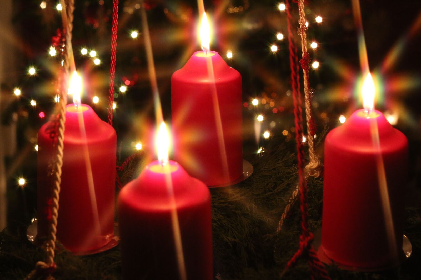 Canon EOS 70D + Canon EF 50mm F1.8 II sample photo. Xmas, christmas, advent photography