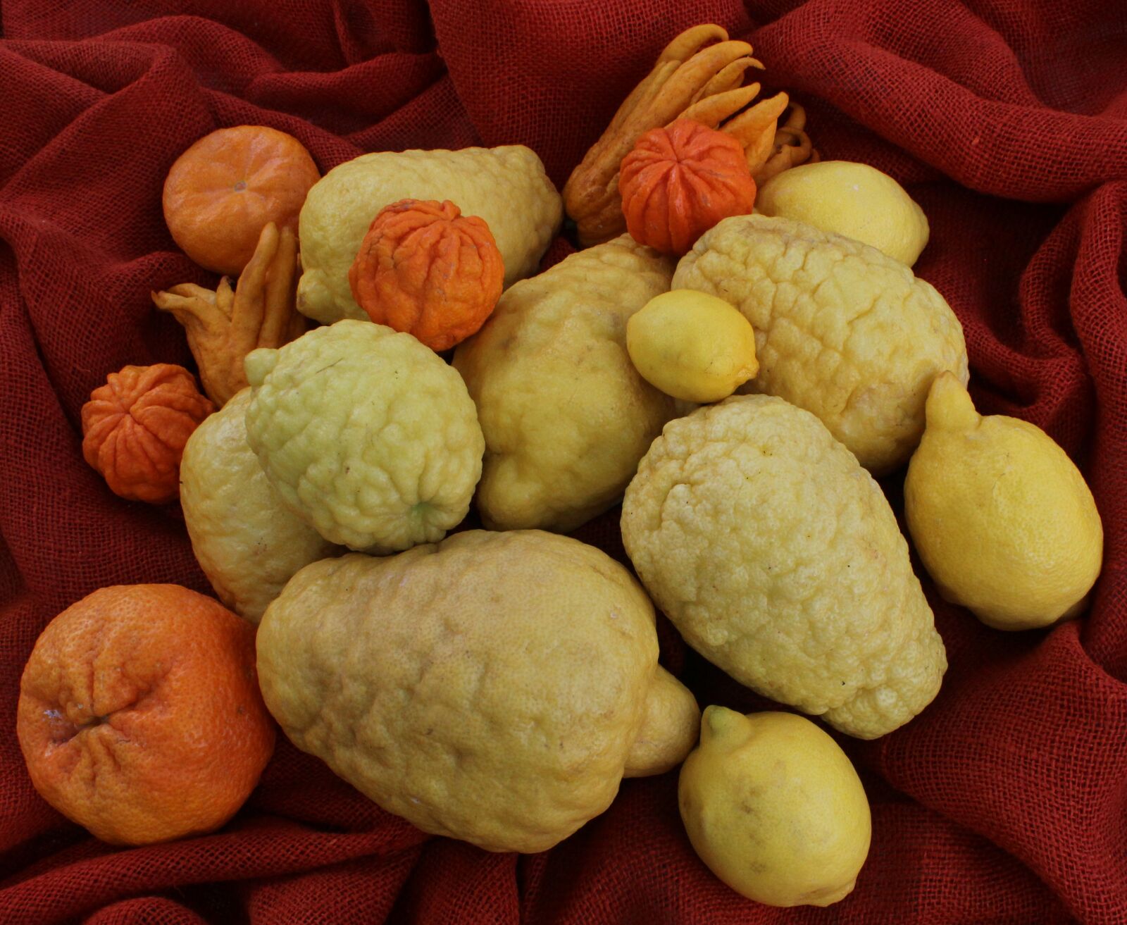 Canon EOS 600D (Rebel EOS T3i / EOS Kiss X5) sample photo. Agrumi, colori, cestini photography