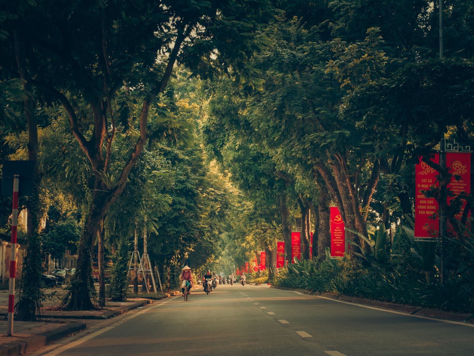 Sony a6000 sample photo. Green, hanoi, vietnam photography