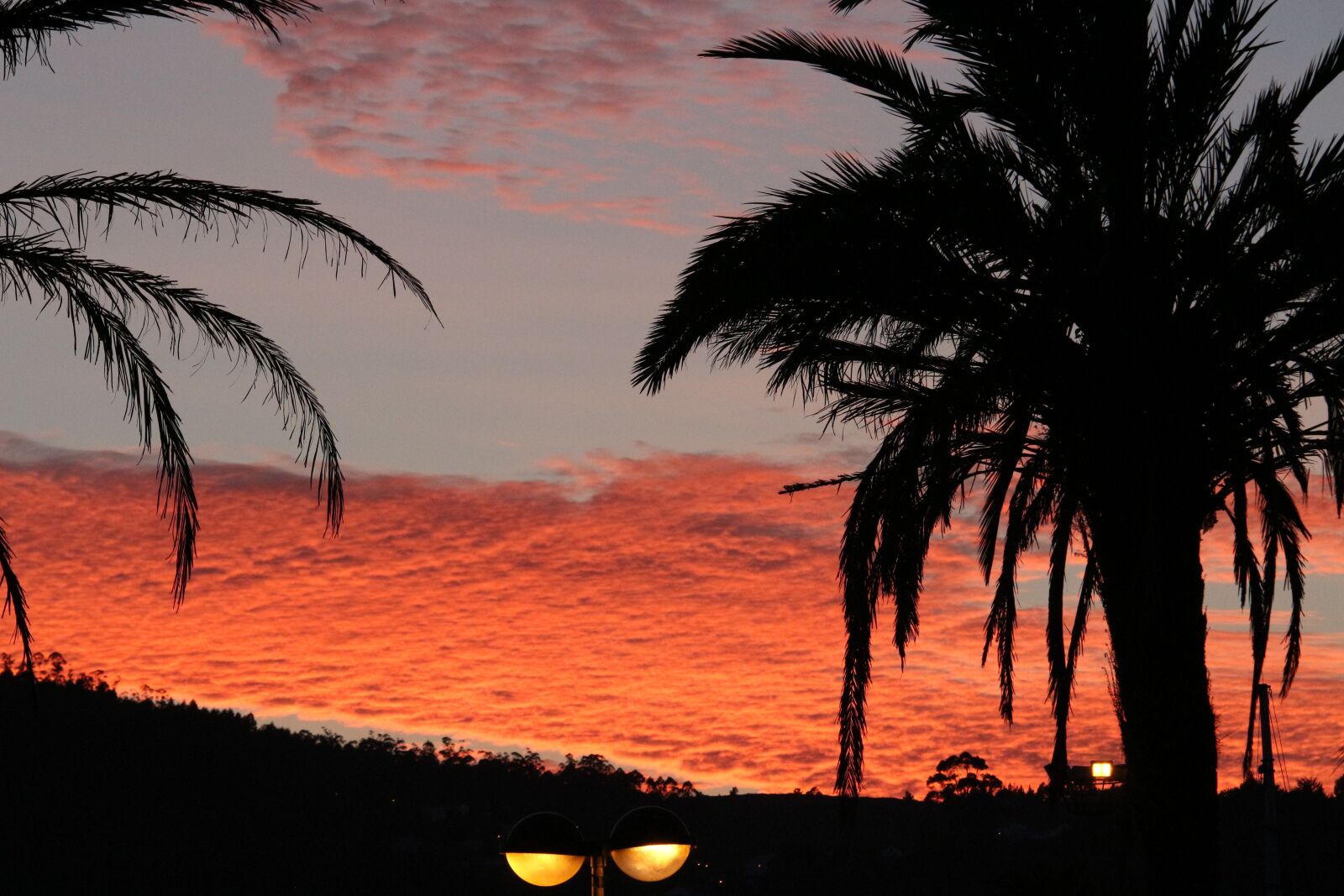 Canon EOS 650D (EOS Rebel T4i / EOS Kiss X6i) + Canon EF-S 55-250mm F4-5.6 IS STM sample photo. Sunset, dusk, palms photography