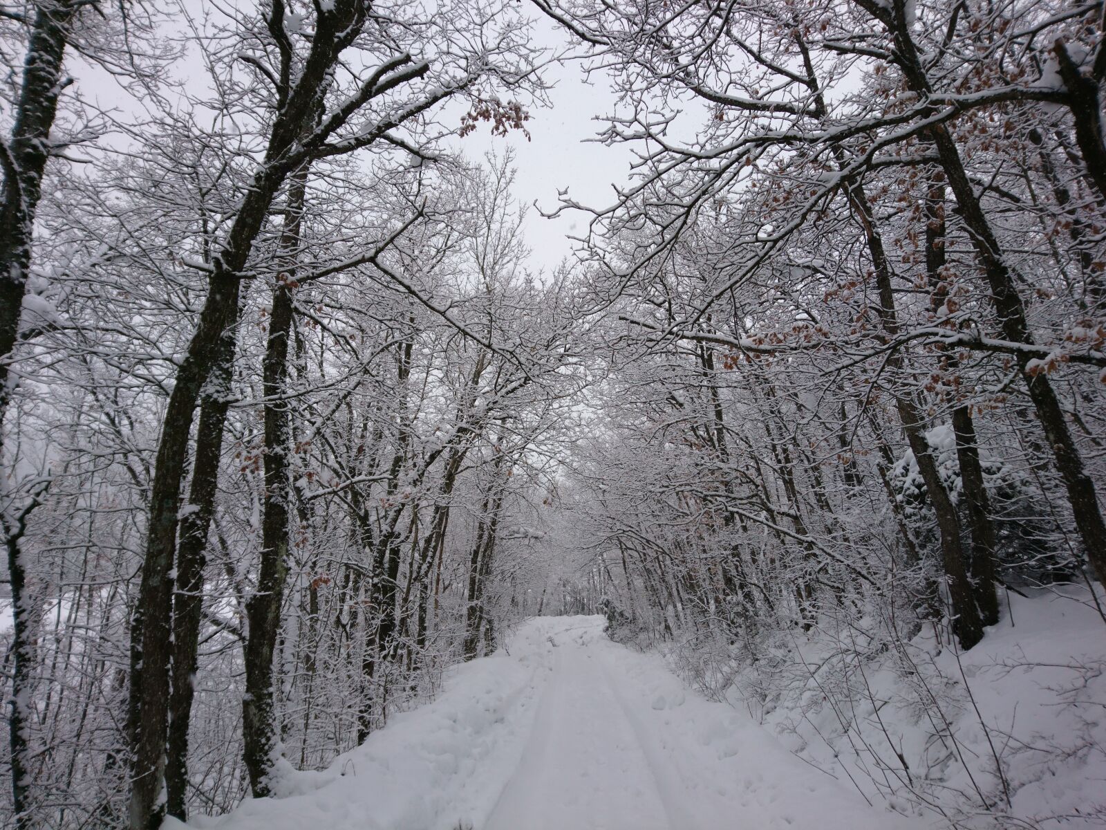 Sony Xperia X Compact sample photo. Snow, mountain, sci photography