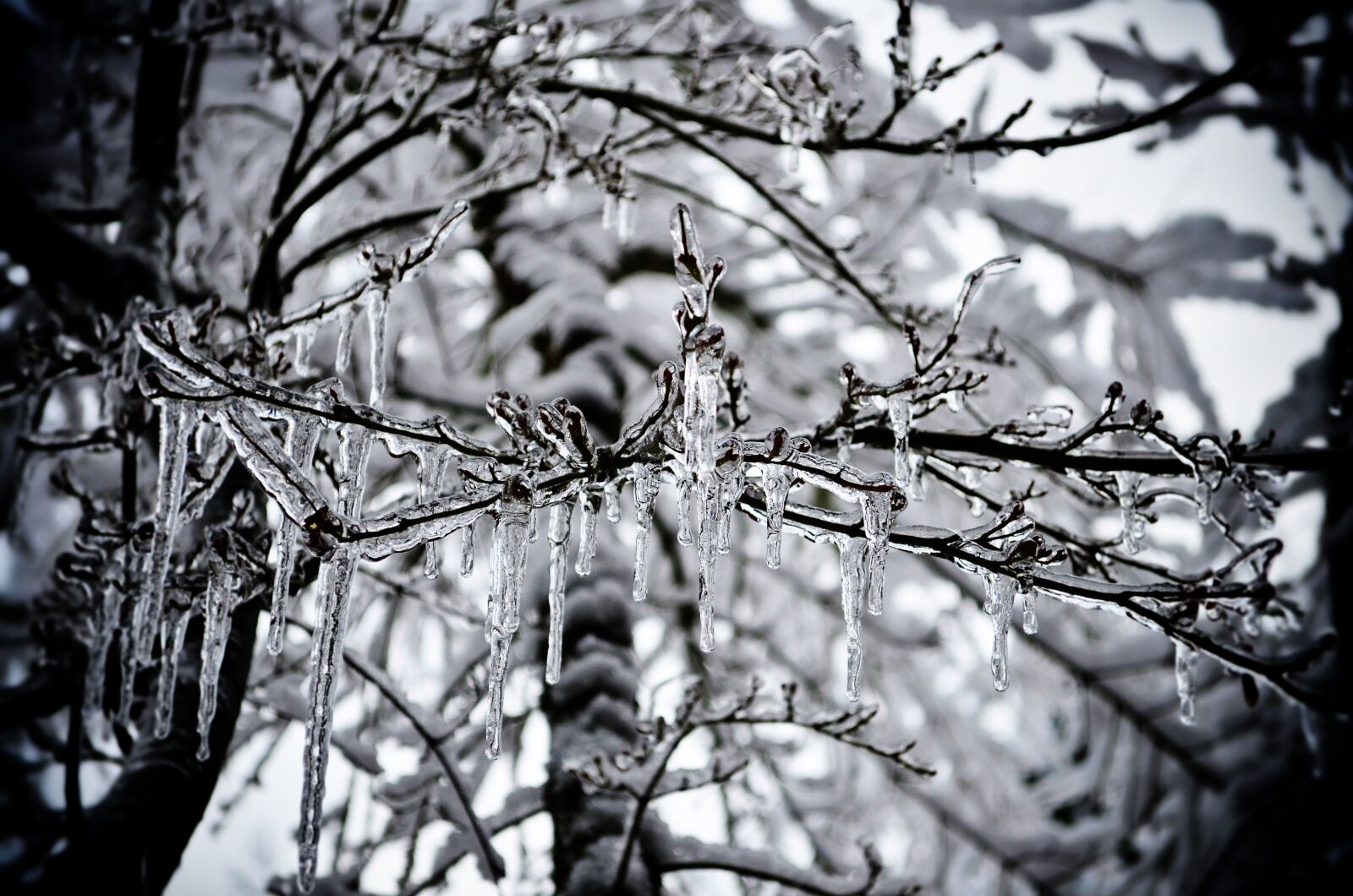 Nikon D5100 sample photo. Ice, icicles, frost photography
