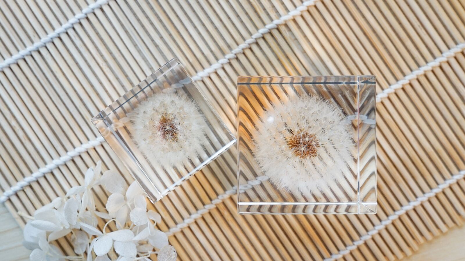 Sony FE 28-70mm F3.5-5.6 OSS sample photo. Dandelion, glass, crystal photography