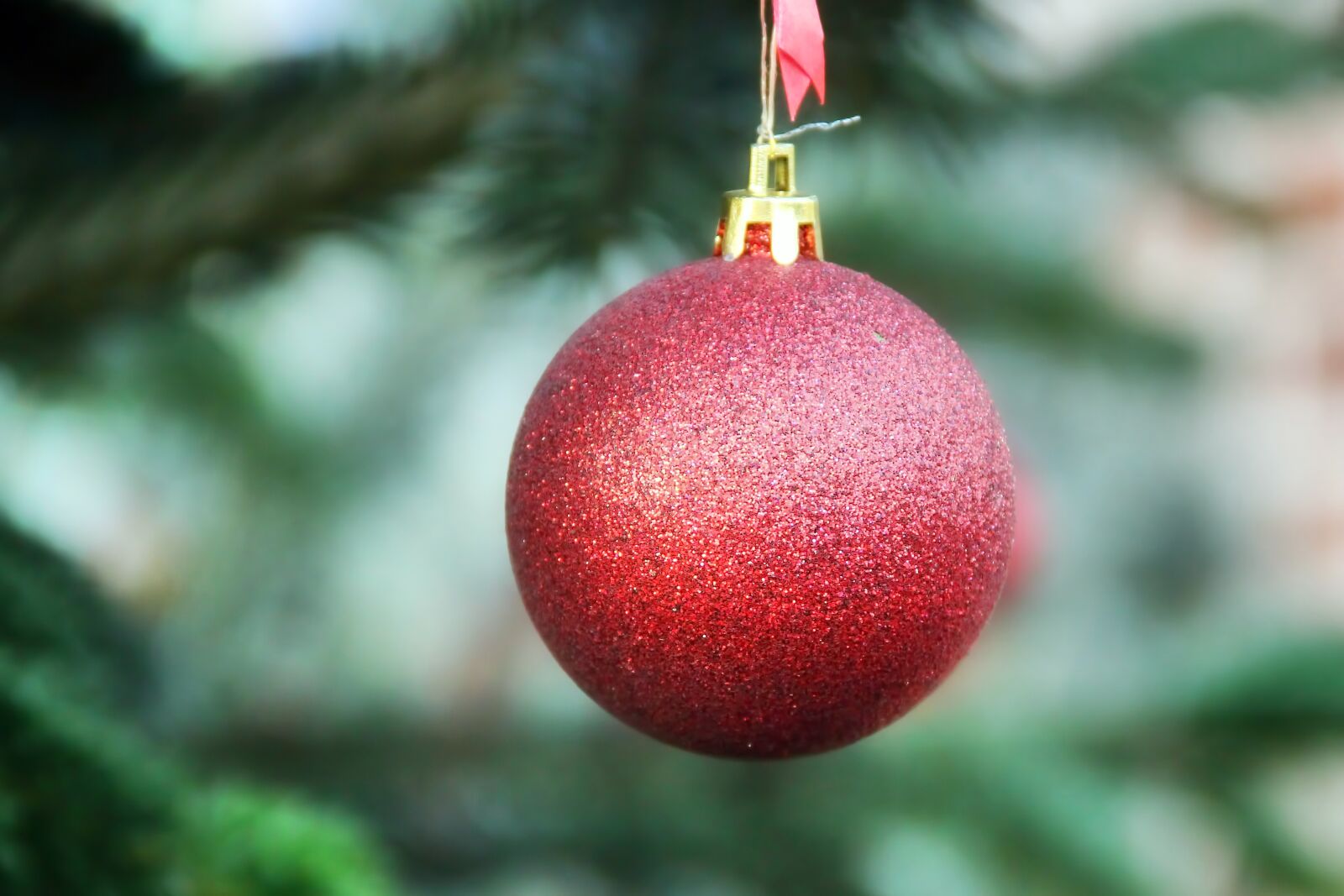 Canon EOS 600D (Rebel EOS T3i / EOS Kiss X5) sample photo. Weihnachtsbaumschmuck, ball, fir tree photography
