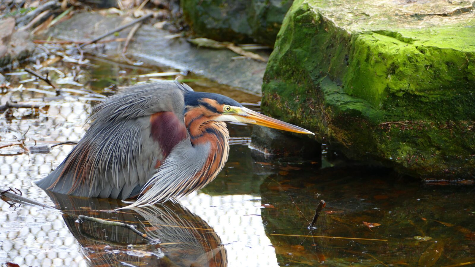 Panasonic Lumix DMC-FZ1000 sample photo. Nature, body of water photography