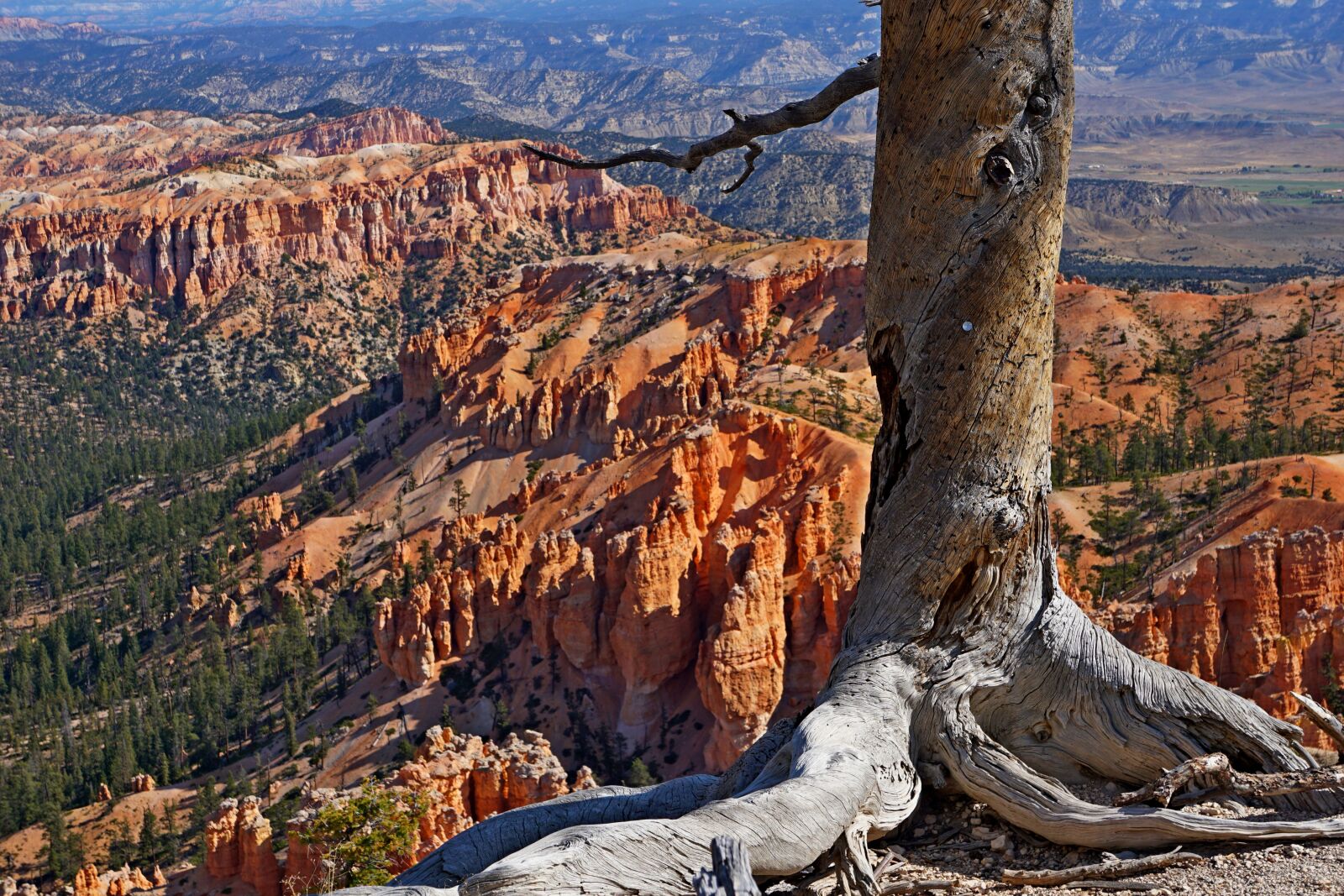 Sony a6000 + Sony E 18-55mm F3.5-5.6 OSS sample photo. Canyon, cliff, landscape photography