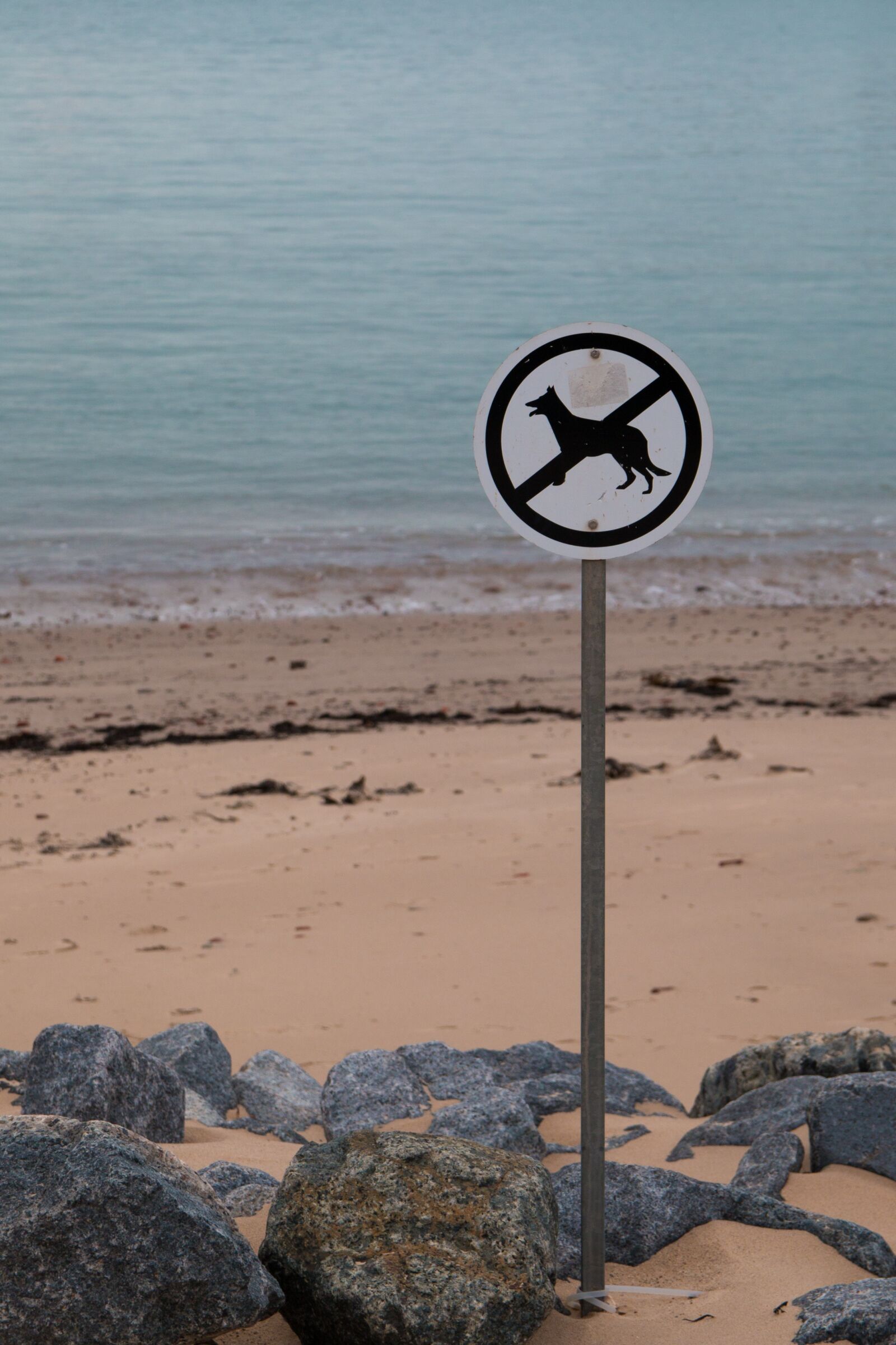 Canon EOS 70D sample photo. Dogs prohibited, beach, shield photography