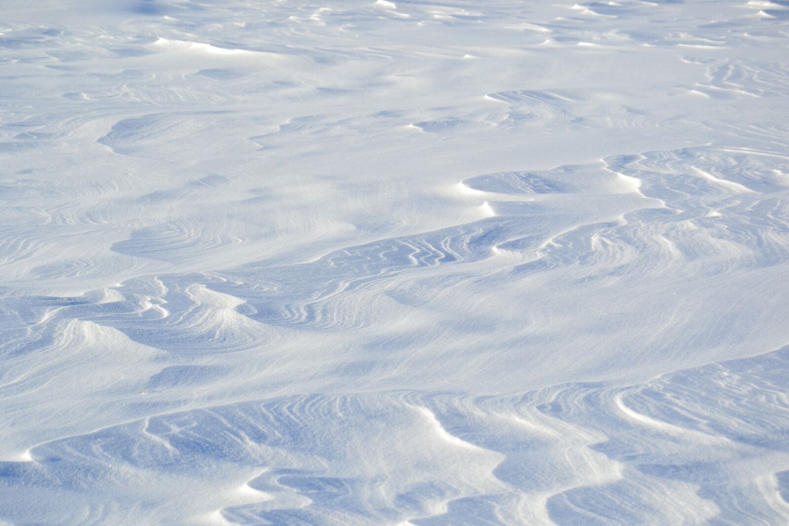 Nikon D3100 sample photo. Snow, snowdrifts, winter photography
