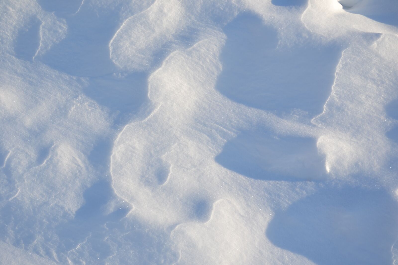 Nikon D3100 sample photo. Winter, field, snow photography