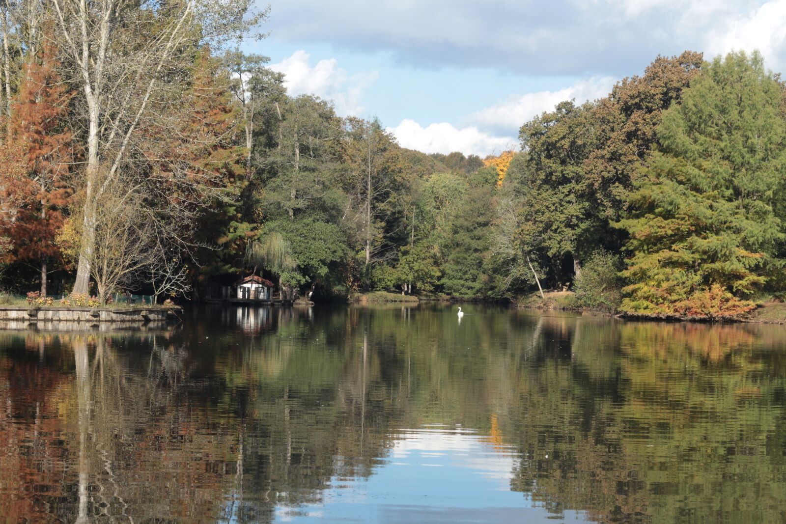 Canon EOS 700D (EOS Rebel T5i / EOS Kiss X7i) + Canon EF 50mm F1.8 II sample photo. Lake, marine, nature photography