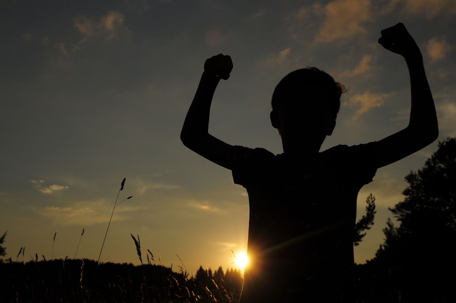 Nikon D300 sample photo. Boy, sunset, france photography