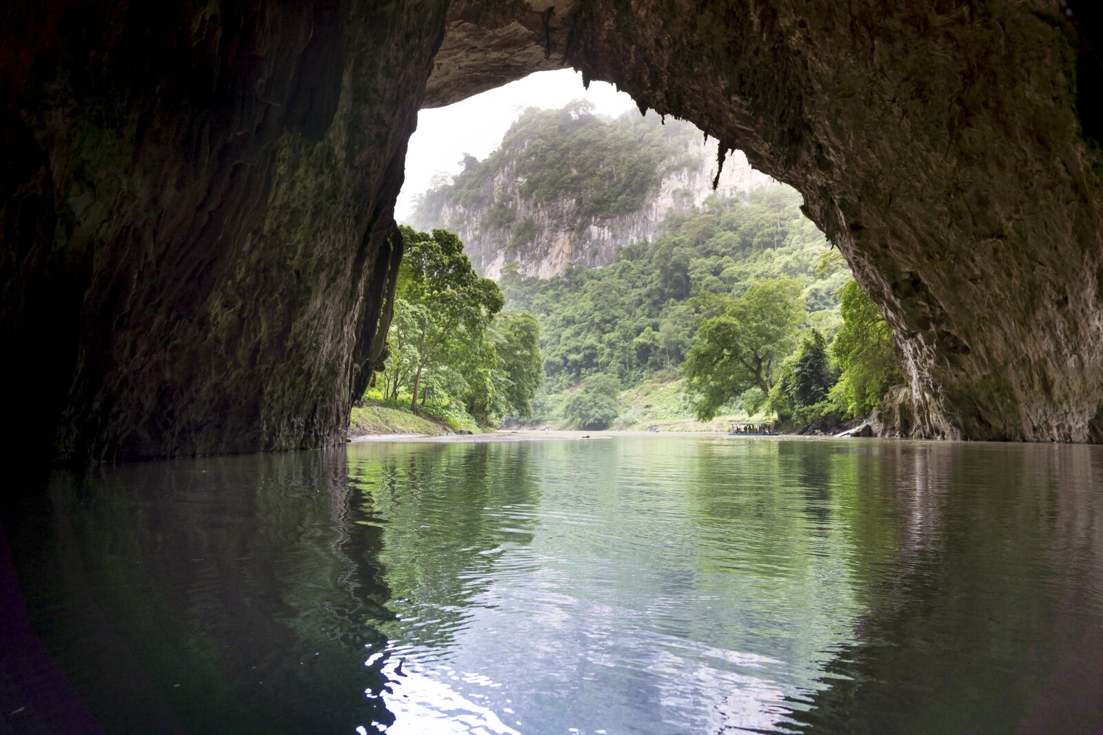 Sony FE 24-70mm F2.8 GM sample photo. The park, vietnam, nice photography
