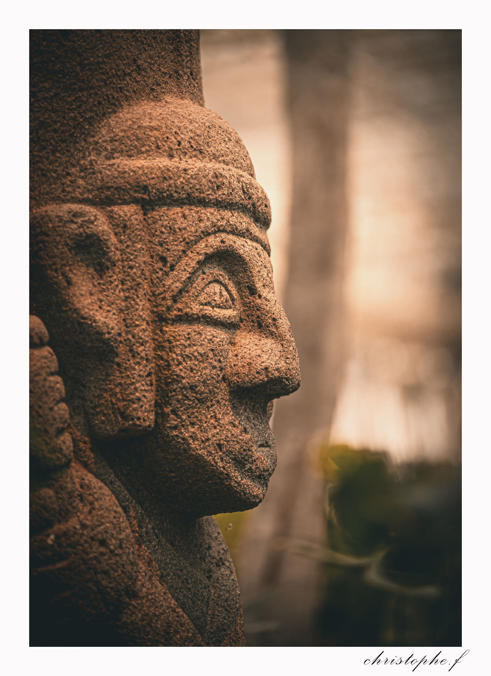 Nikon Z5 sample photo