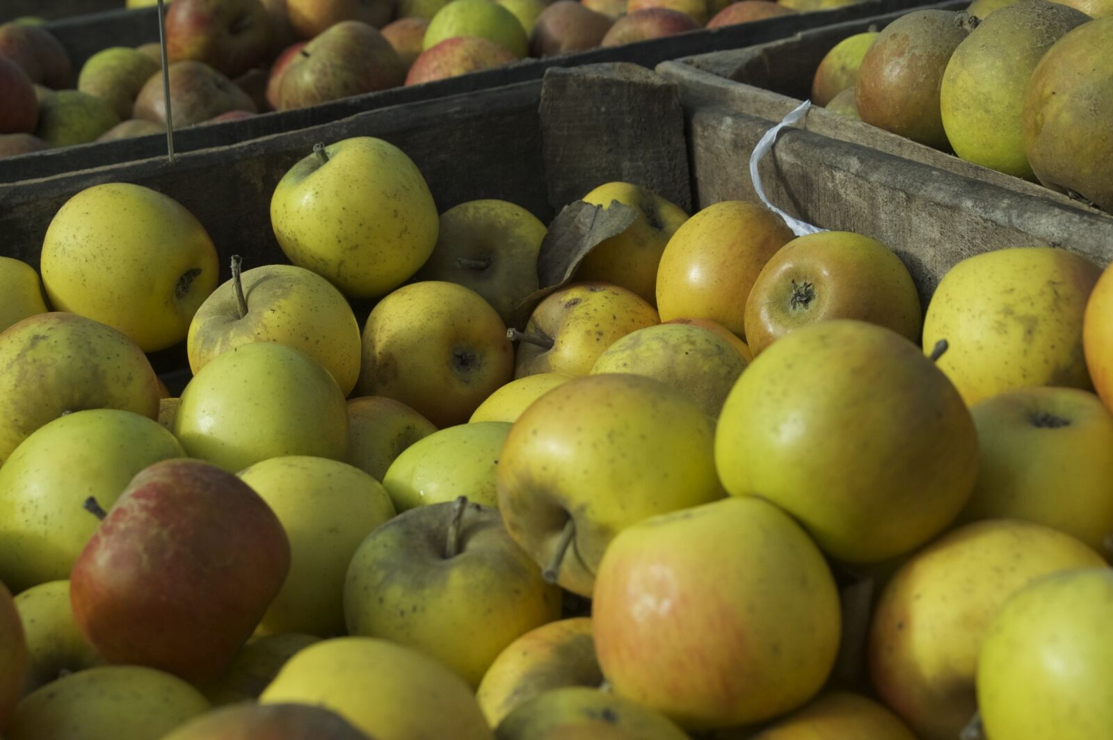 Nikon D70 sample photo. Apple, fruit, food photography