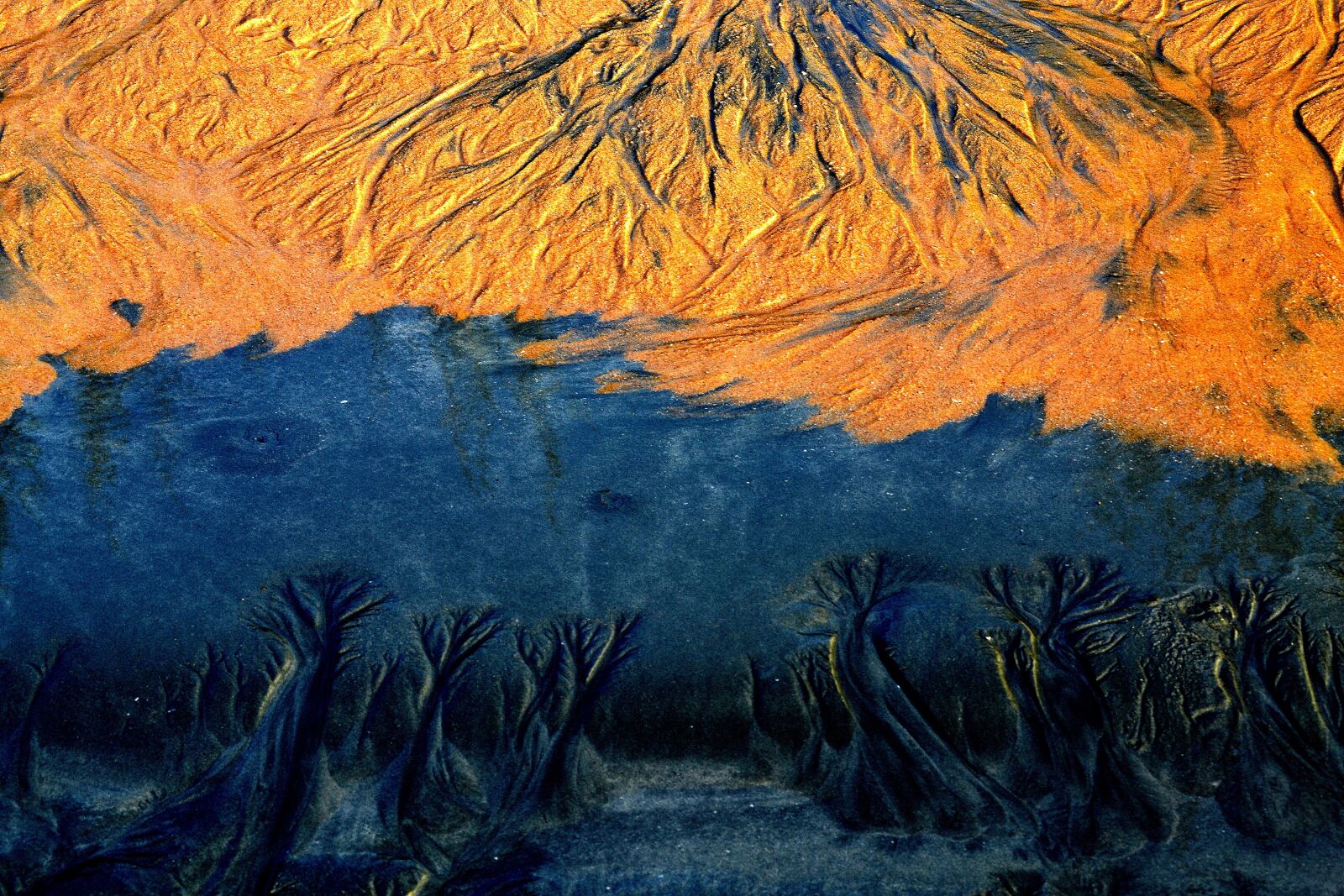 Nikon D3100 sample photo. Sand, pattern, trees photography