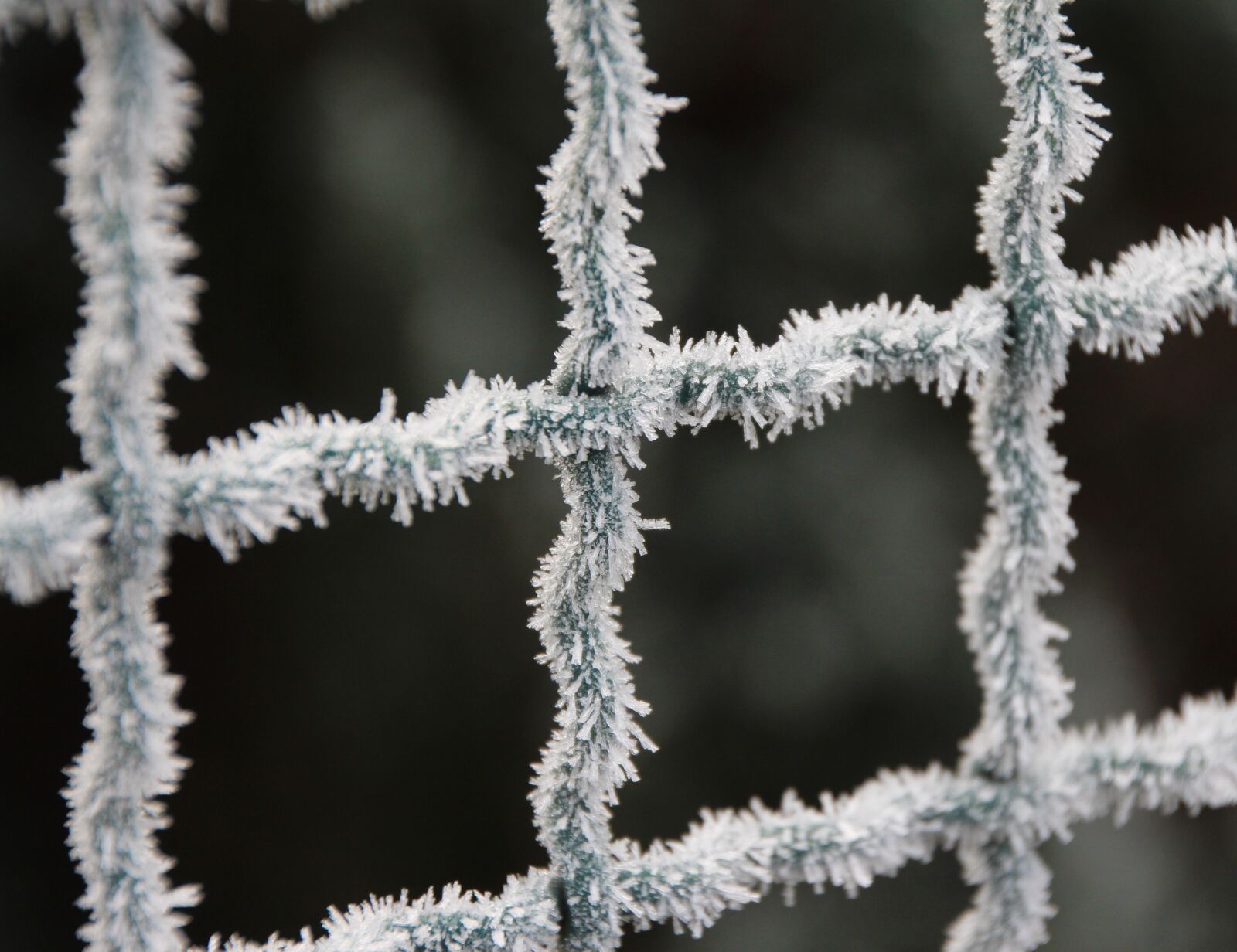 Canon EOS 650D (EOS Rebel T4i / EOS Kiss X6i) sample photo. Frost, fence, winter photography