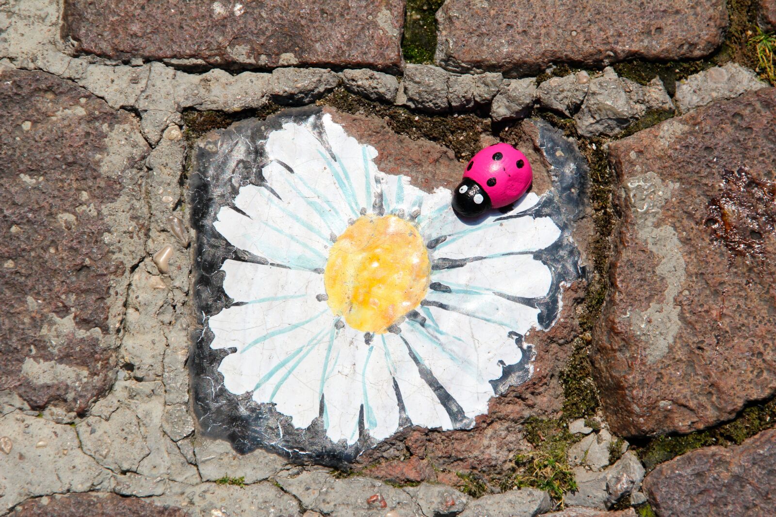 Canon EOS 600D (Rebel EOS T3i / EOS Kiss X5) sample photo. Margarite, paving stone, ladybug photography