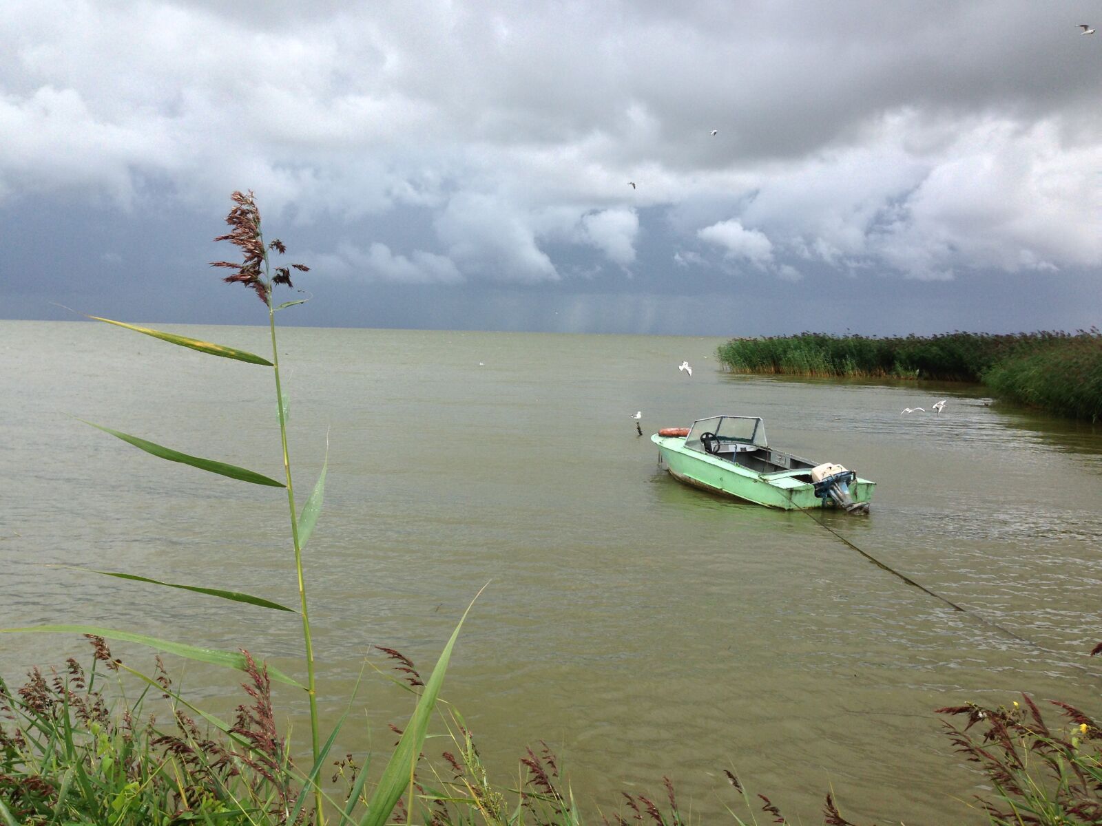 Apple iPhone 5 sample photo. Boat, nature, lake photography