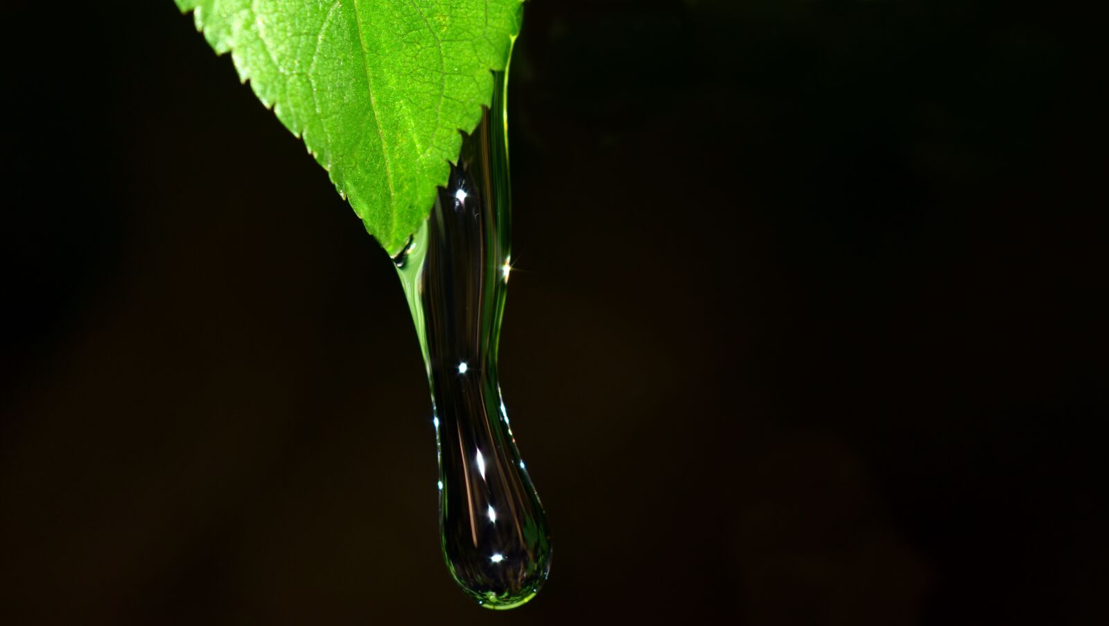 Nikon D3300 sample photo. Drip, any drip, splash photography