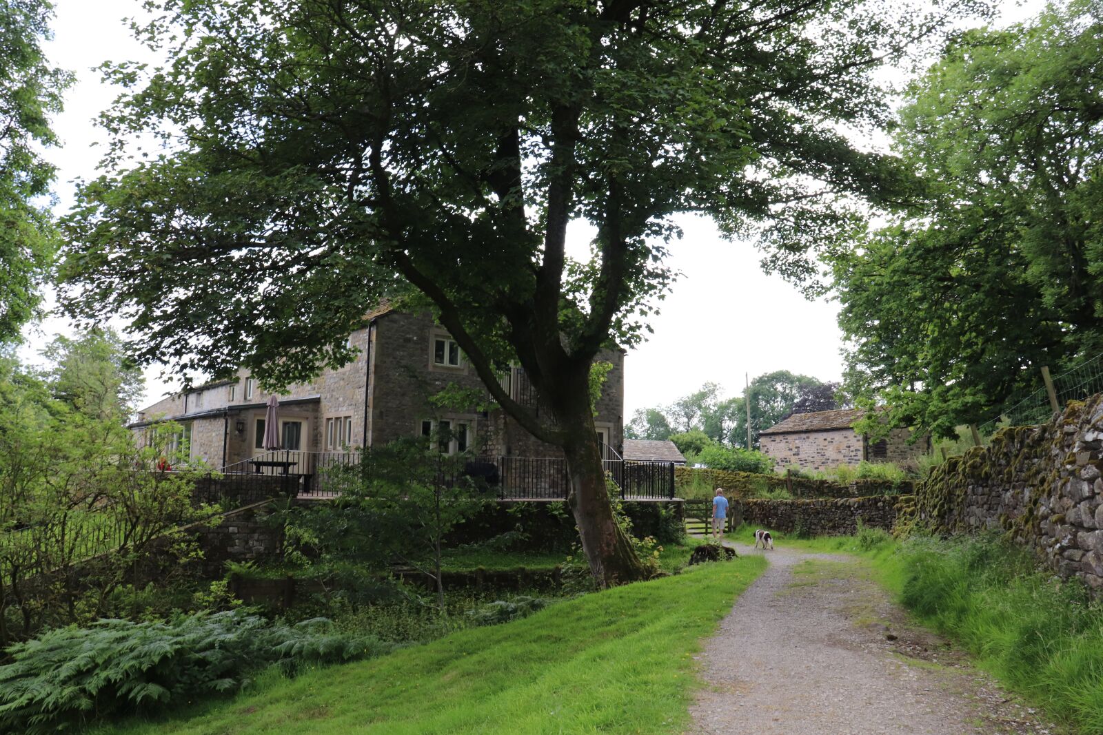 Canon EOS 77D (EOS 9000D / EOS 770D) sample photo. Green, away, yorkshire photography