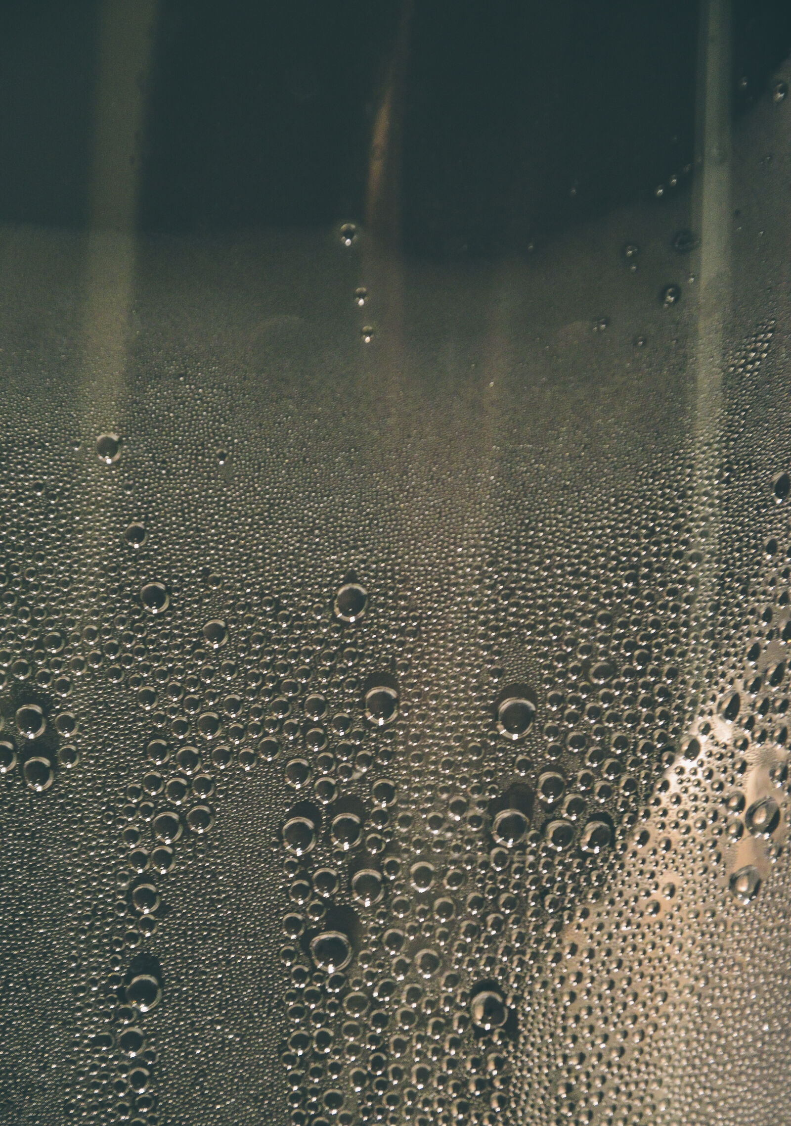Nikon D3200 sample photo