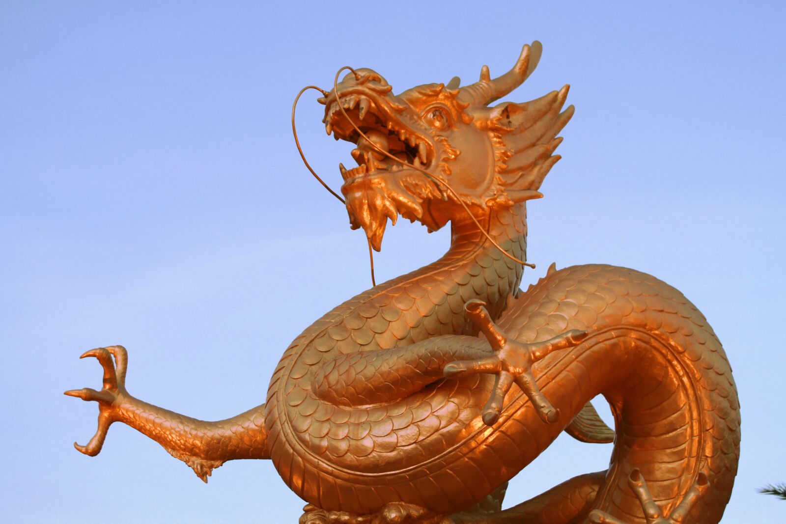 Canon EOS 7D sample photo. Dragon, statue, sculpture photography