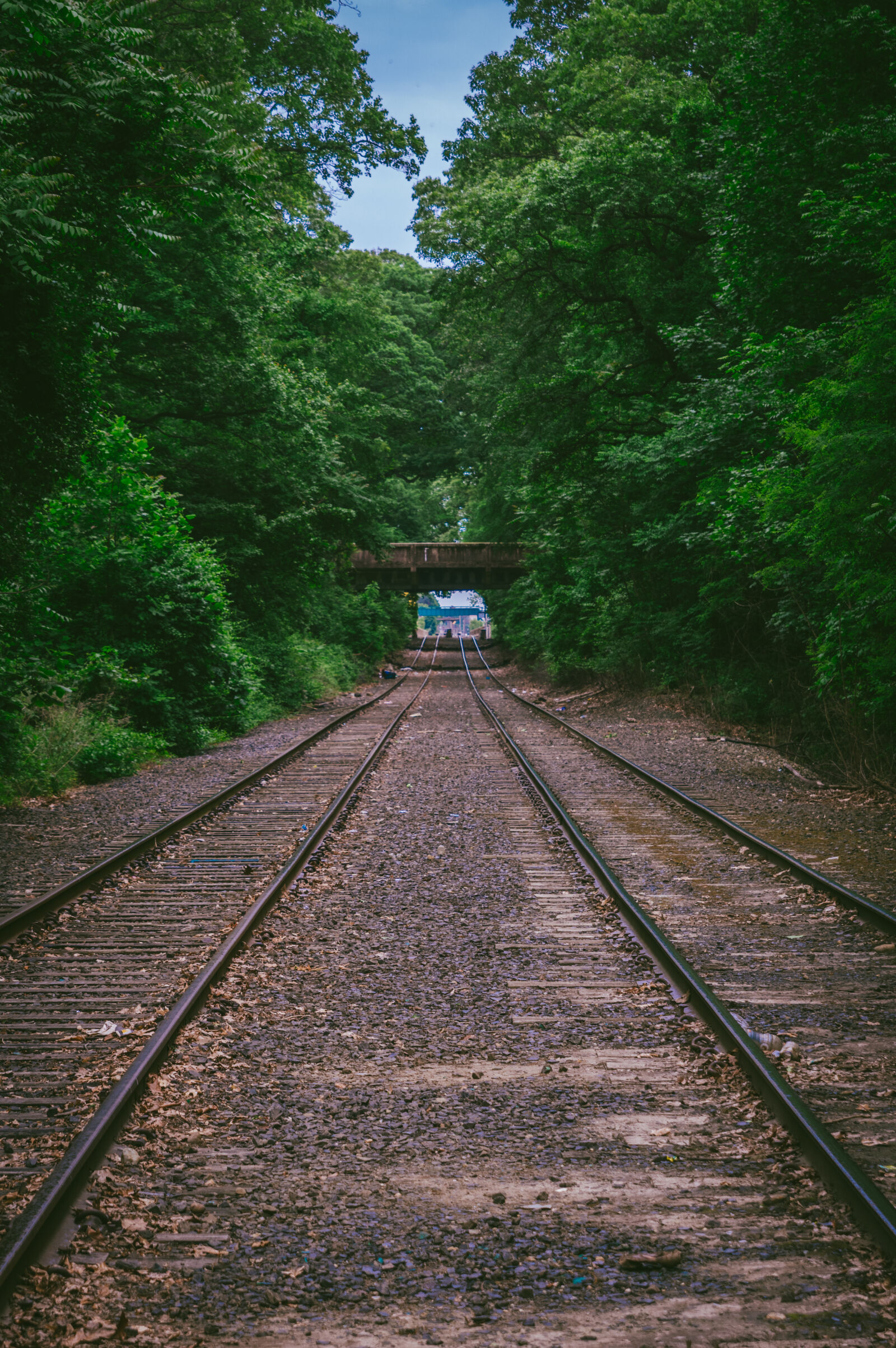 Pentax KP sample photo. Bridge, railroad, railroad, tracks photography