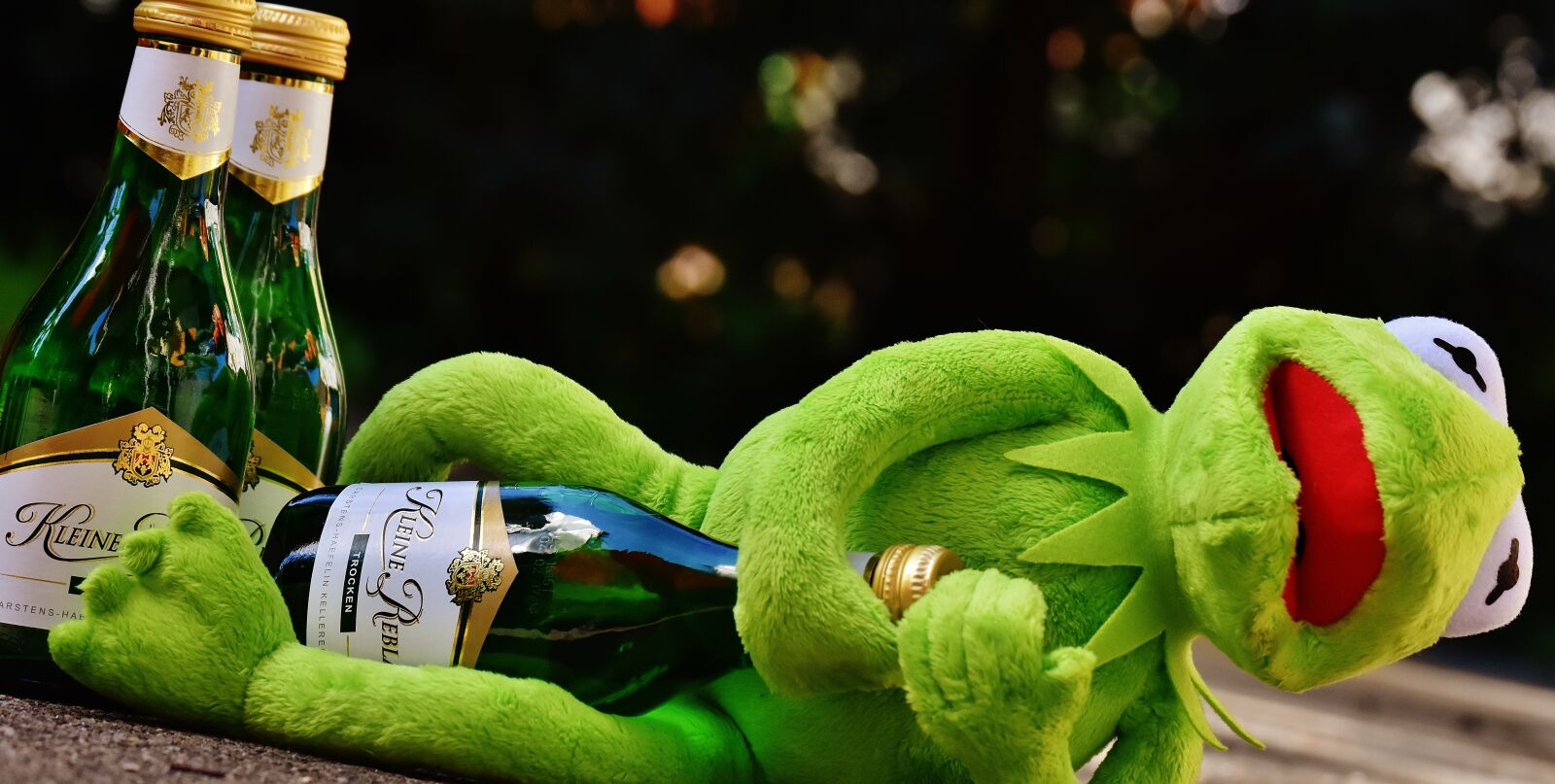 Nikon D7200 sample photo. Kermit, frog, wine photography