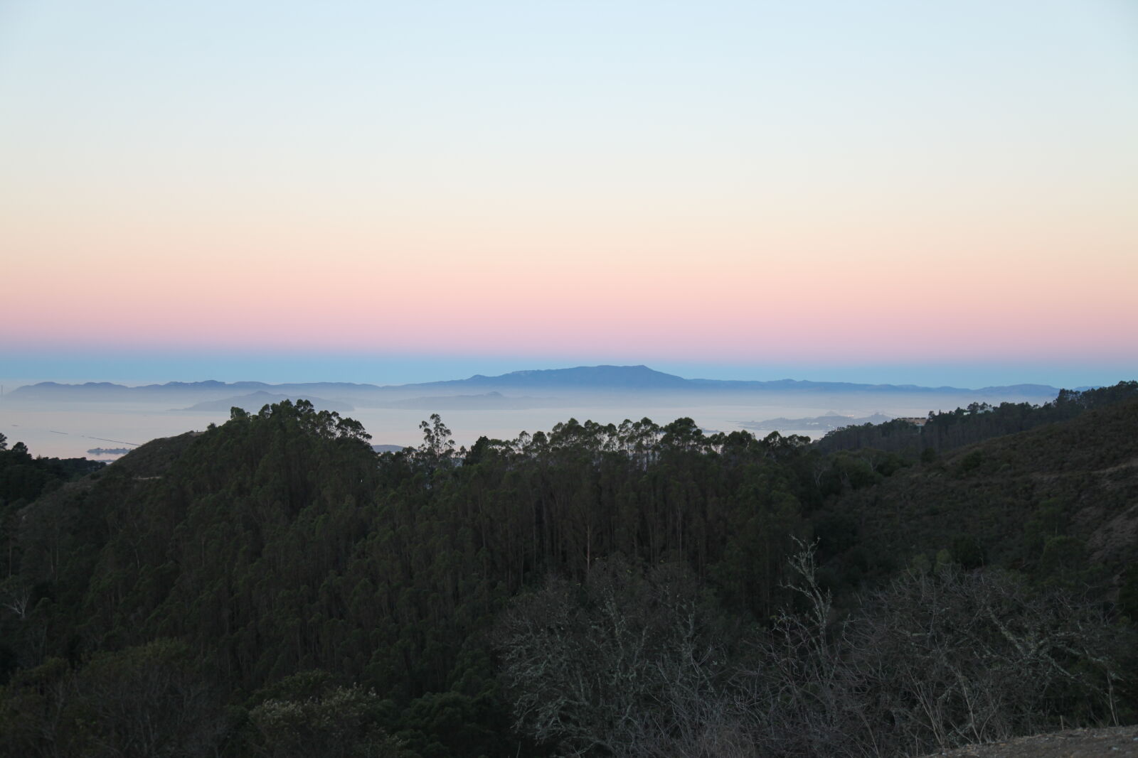 Canon EF 24-105mm F4L IS USM sample photo. Dawn, landscape, trees photography
