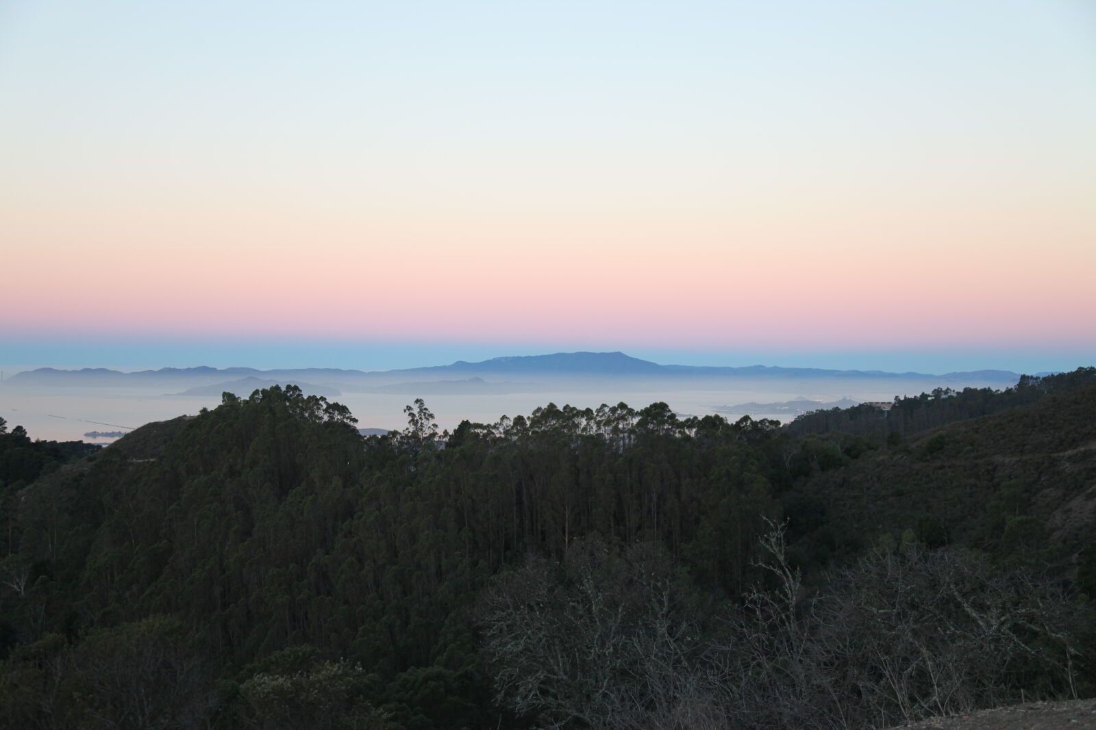 Canon EOS 5D Mark II + Canon EF 24-105mm F4L IS USM sample photo. Dawn, landscape, trees photography