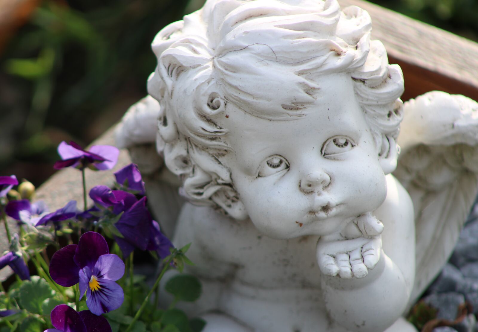 Canon EOS 2000D (EOS Rebel T7 / EOS Kiss X90 / EOS 1500D) sample photo. Sadness, angel, memory photography