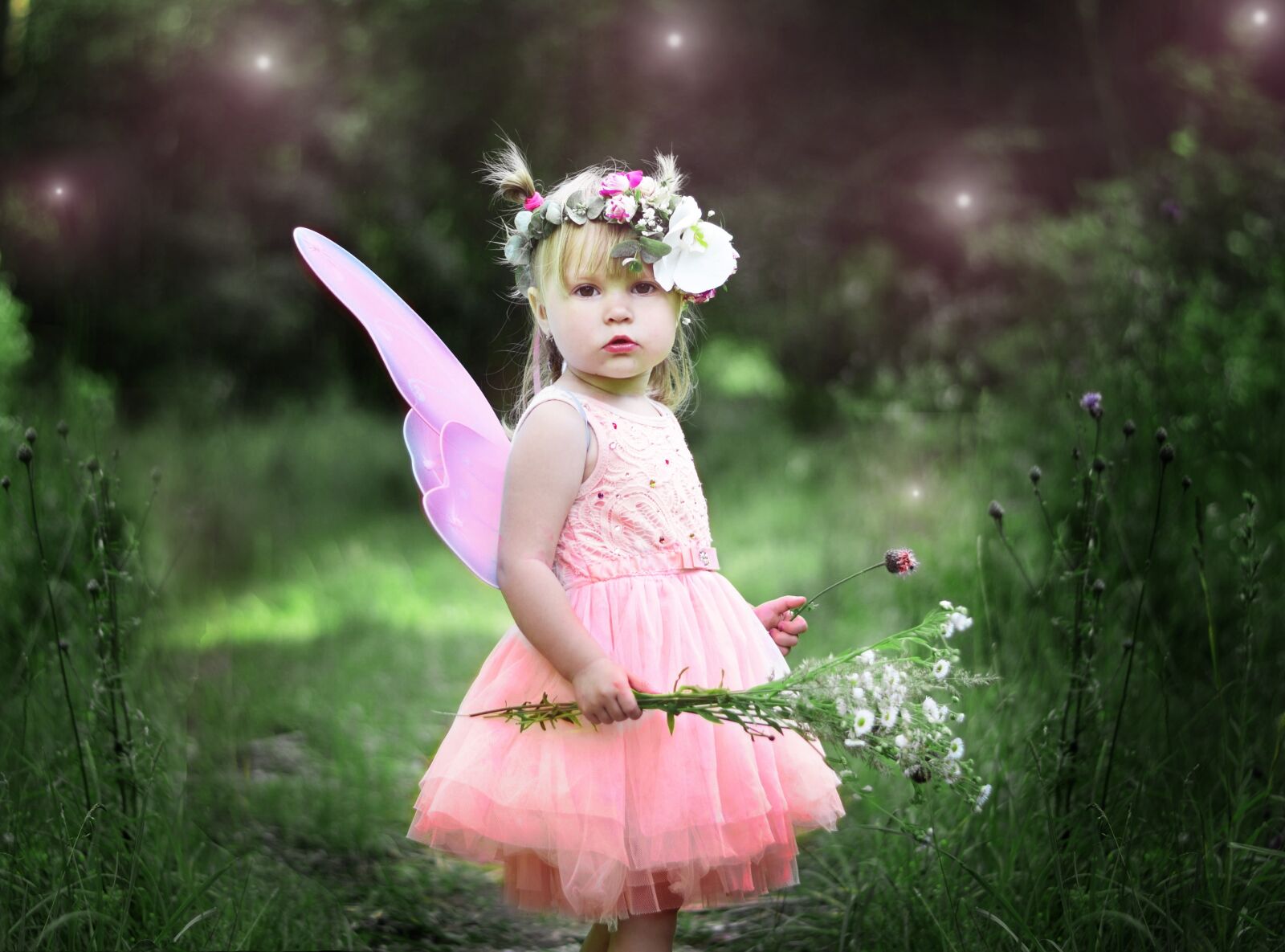 Nikon D5100 sample photo. Kids, story, fairy photography