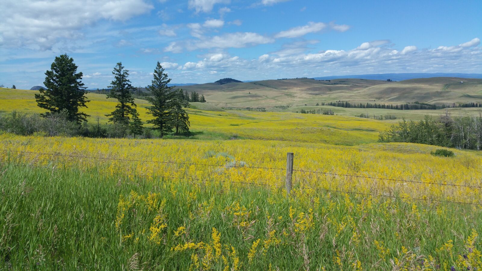 Samsung Galaxy Note4 sample photo. Landscape, field, nature photography