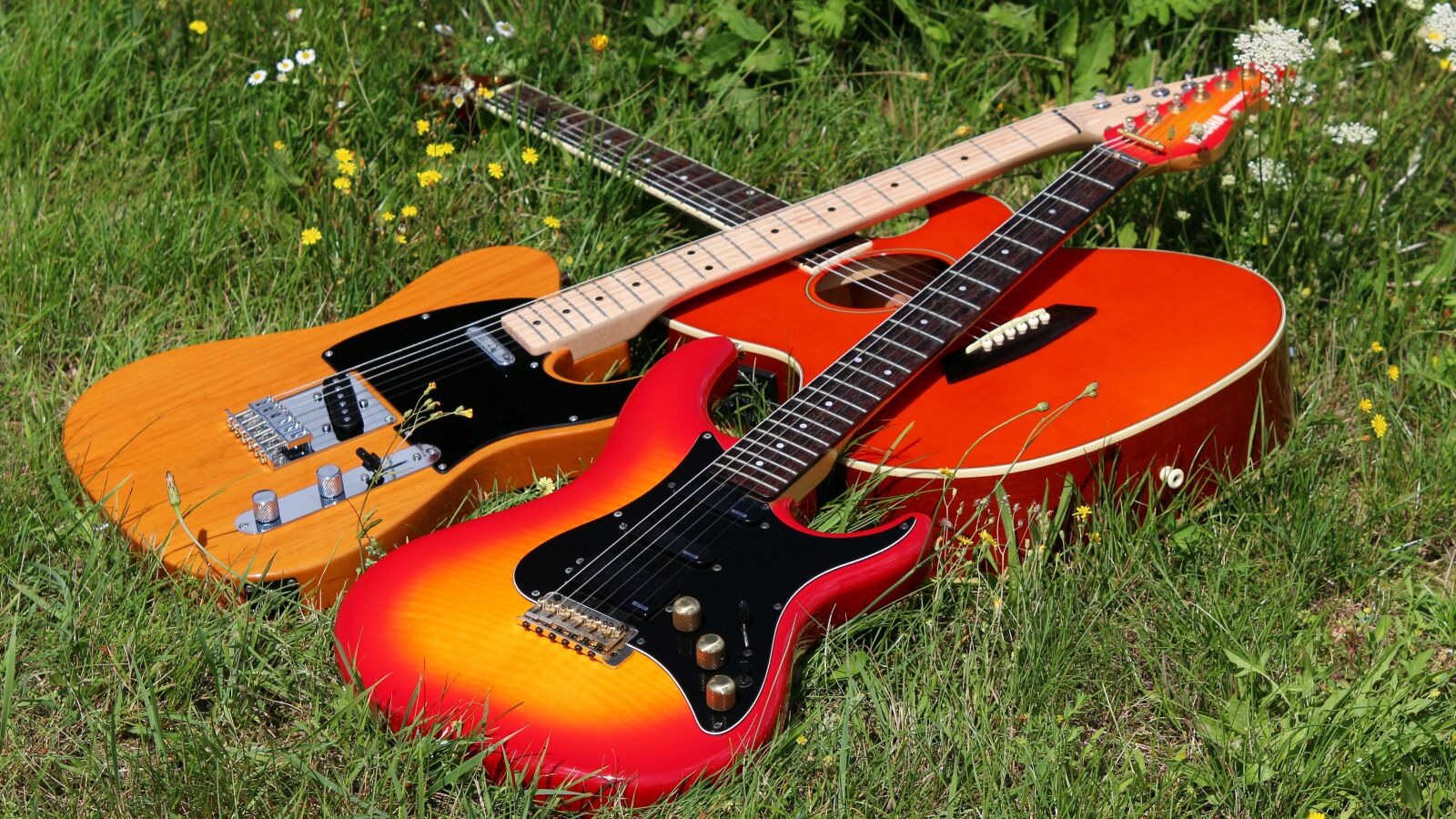 Canon EOS 700D (EOS Rebel T5i / EOS Kiss X7i) sample photo. Guitar, musical instrument, flowers photography