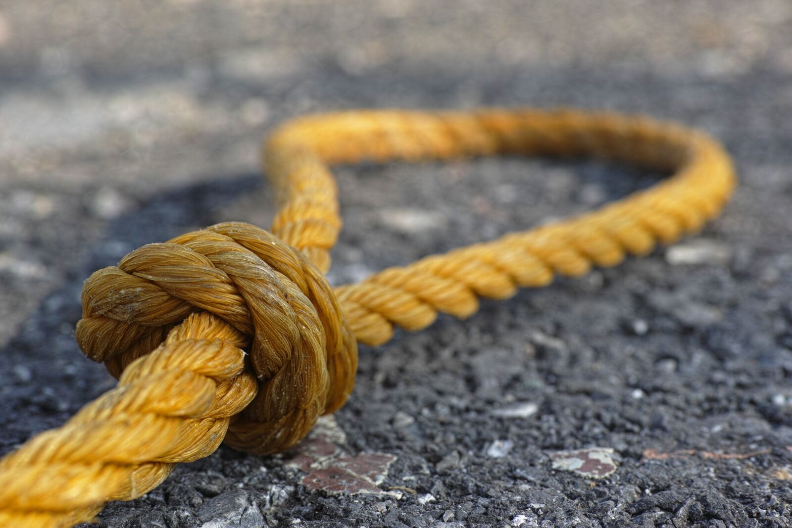 Sigma DP3 Merrill sample photo. Rope, yellow, connect photography