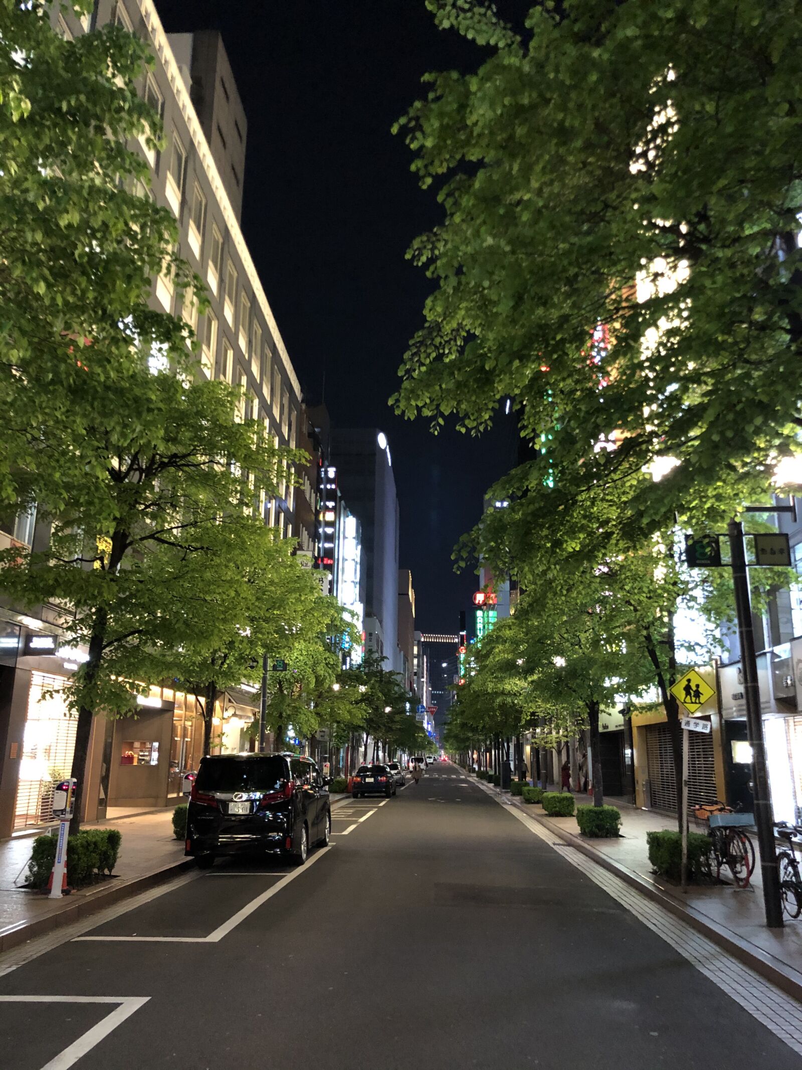 Apple iPhone X + iPhone X back dual camera 4mm f/1.8 sample photo. Japan, night view, city photography