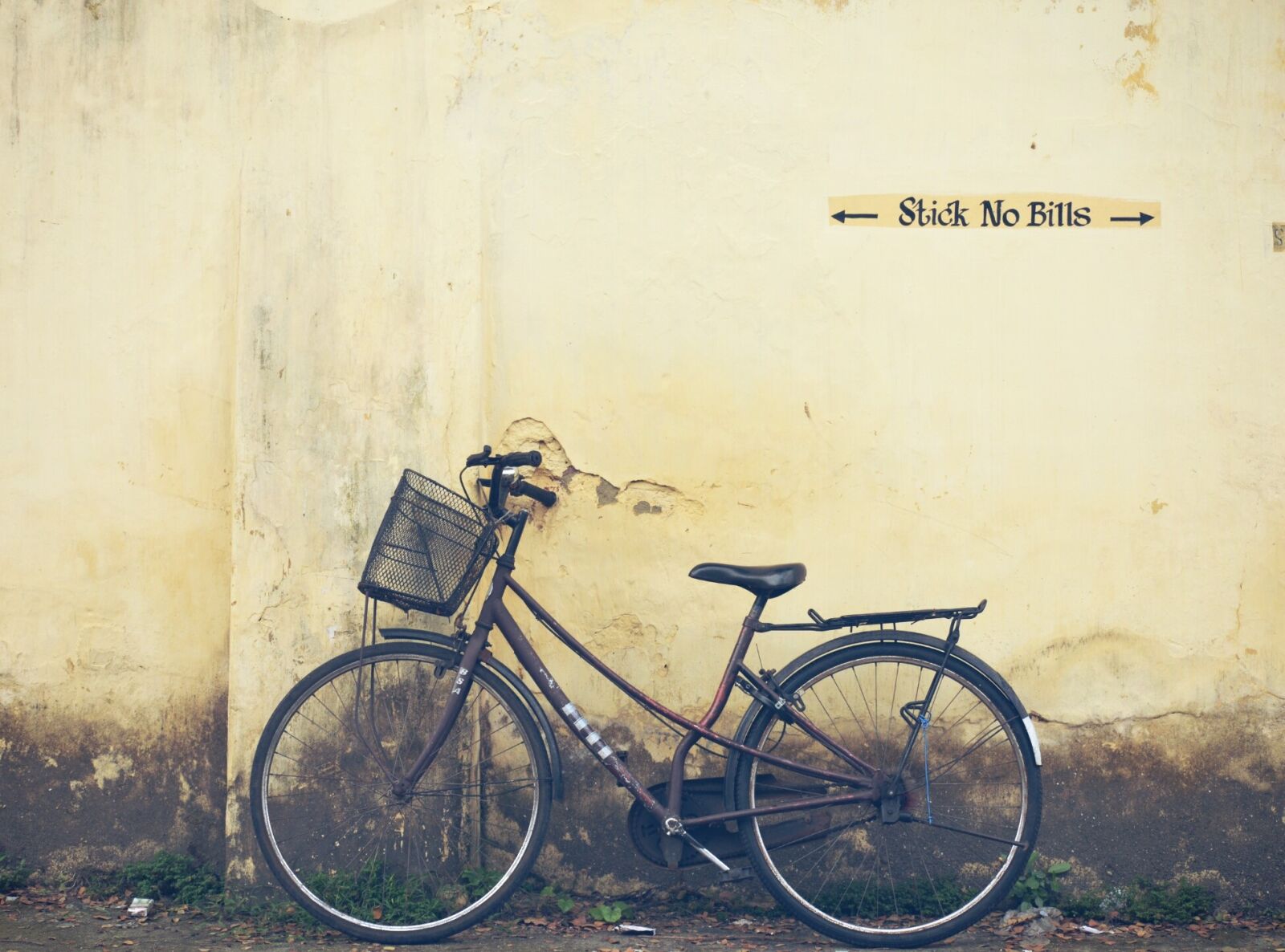 Nikon D3200 sample photo. Cycle, kochi, india photography