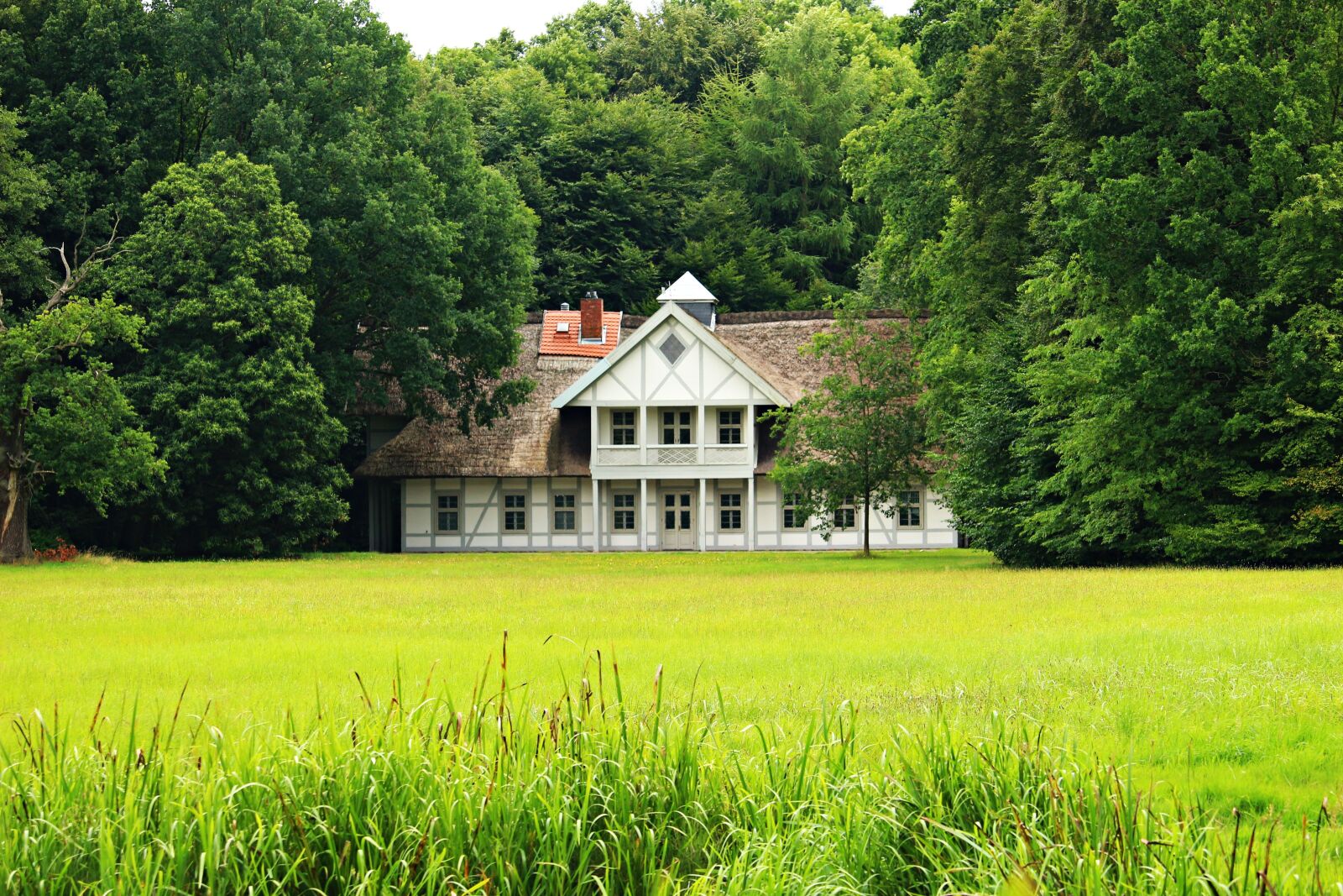 Canon EOS 100D (EOS Rebel SL1 / EOS Kiss X7) sample photo. House, swiss house, truss photography