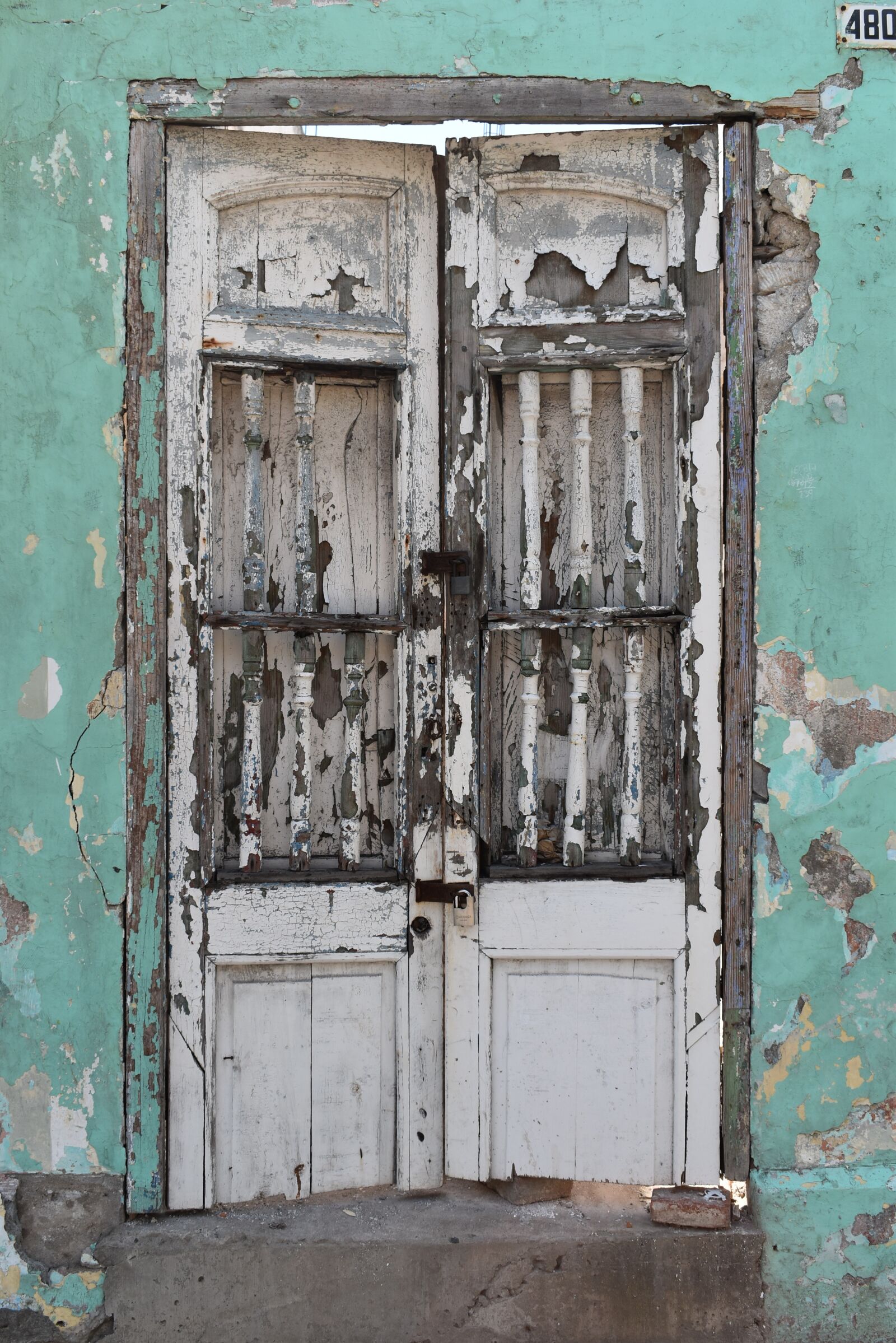 Nikon D5600 sample photo. Door, gate rustica, old photography