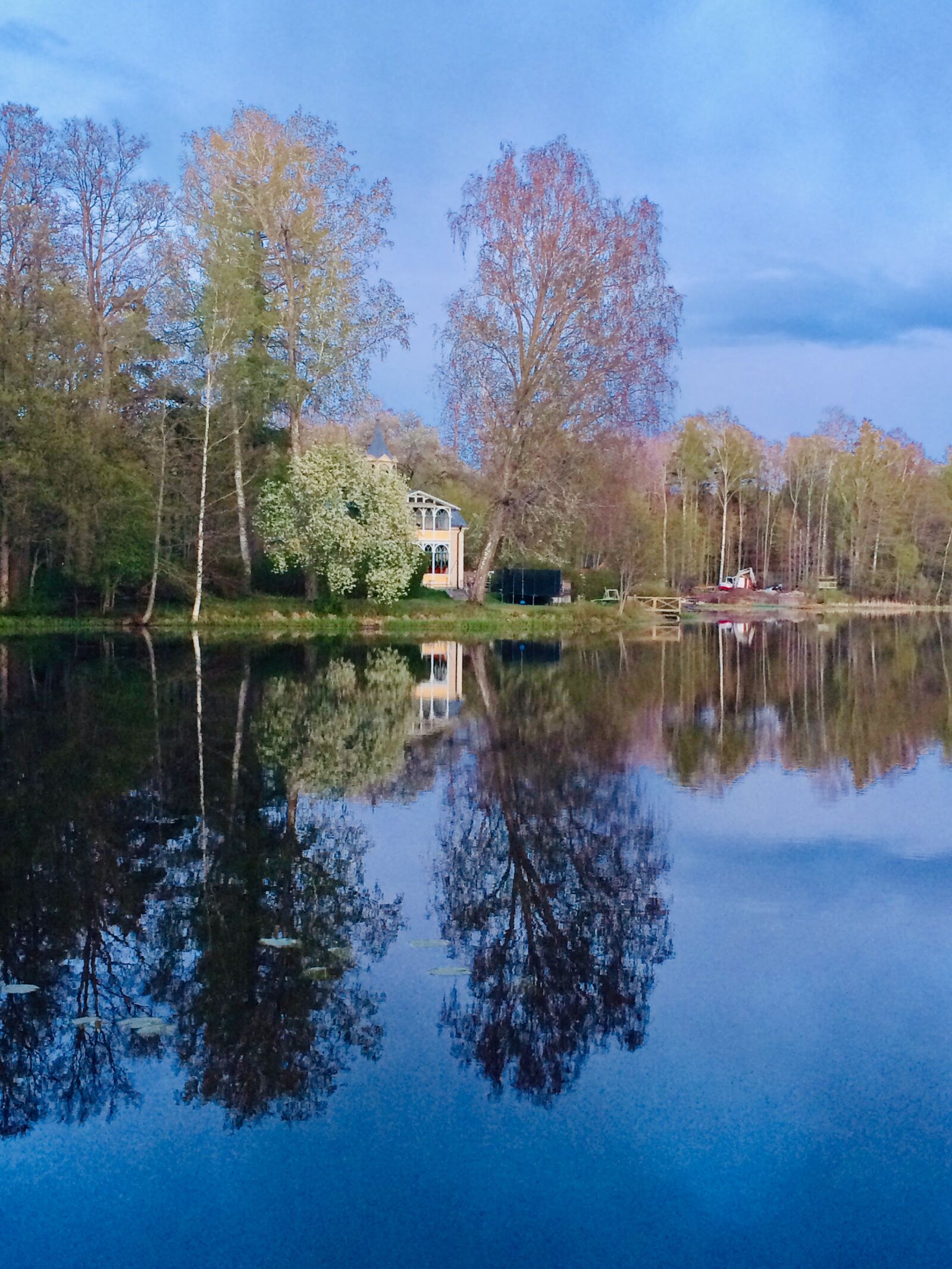 iPhone 5s back camera 4.15mm f/2.2 sample photo. Nature, dust, mirroring photography