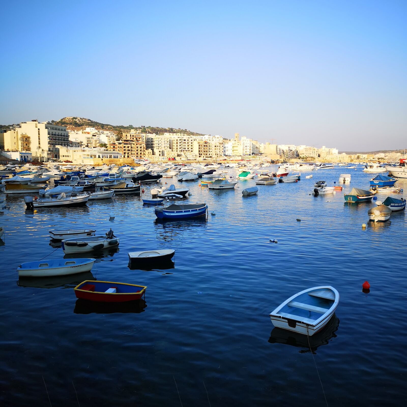 HUAWEI CLT-L29 sample photo. Malta, bugibba, summer photography