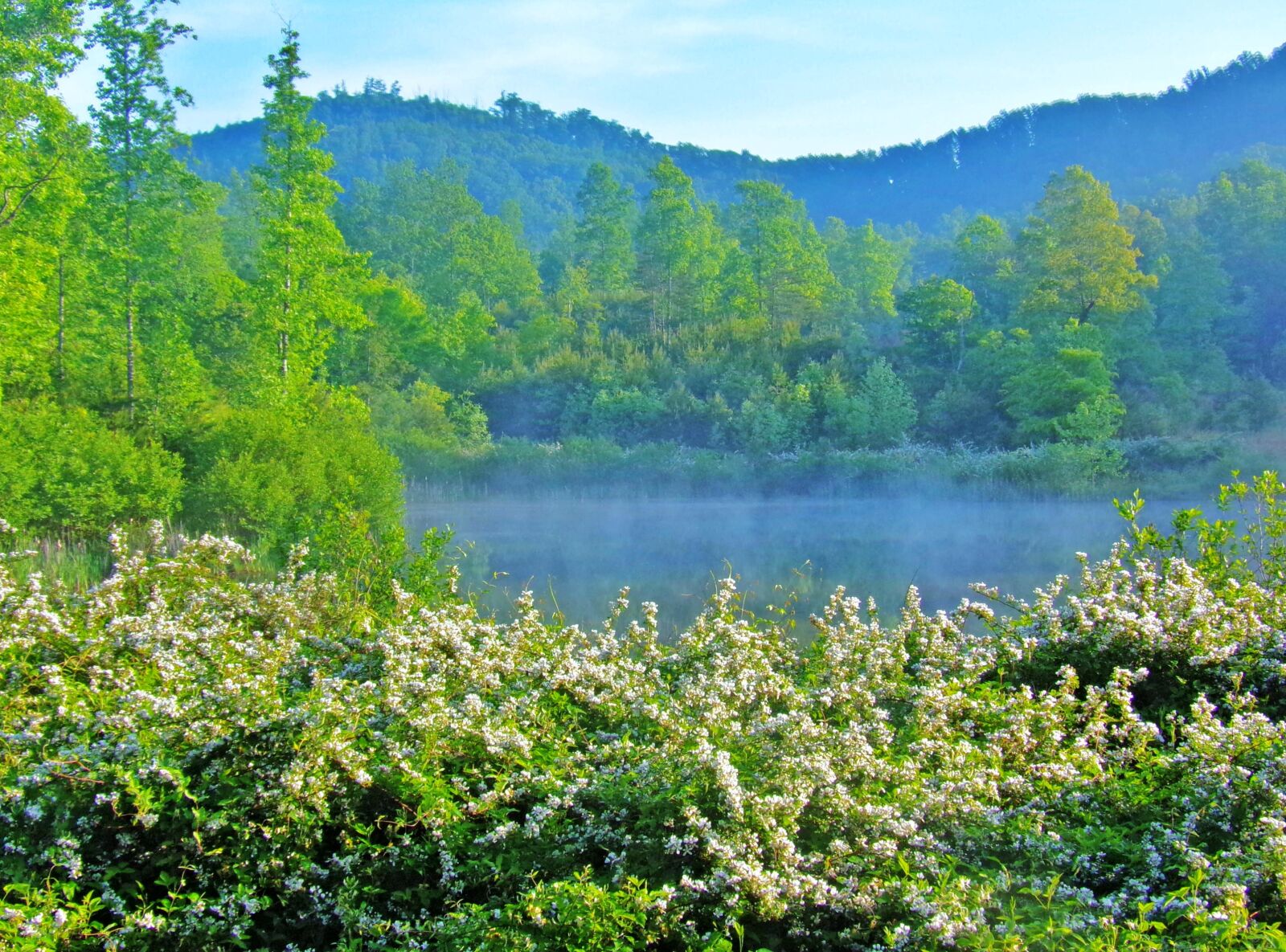 Kodak PIXPRO AZ361 sample photo. Lake, mountains, north carolina photography