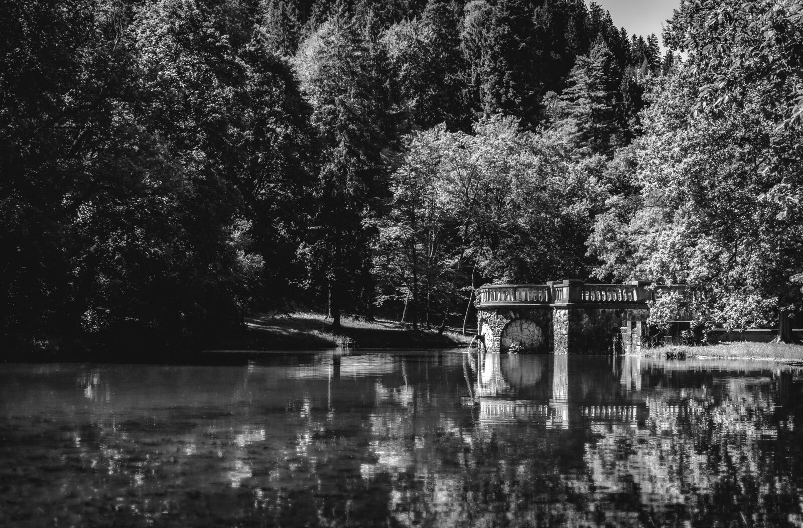 Olympus OM-D E-M10 II sample photo. Matze park, pond, park photography
