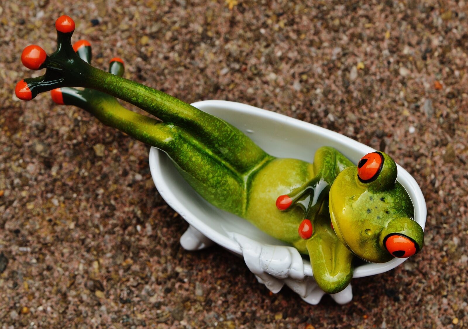 Nikon D3200 sample photo. Frog, funny, bath photography
