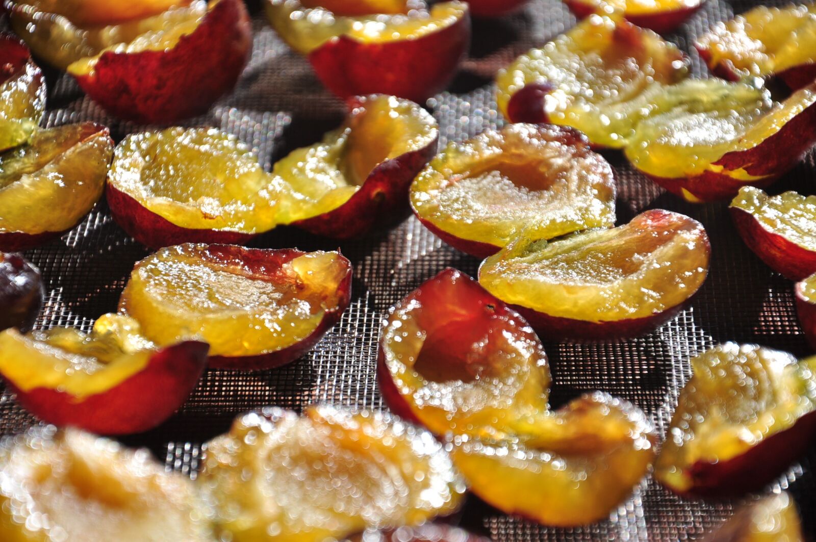 Nikon D90 sample photo. Plums, fruit, food photography