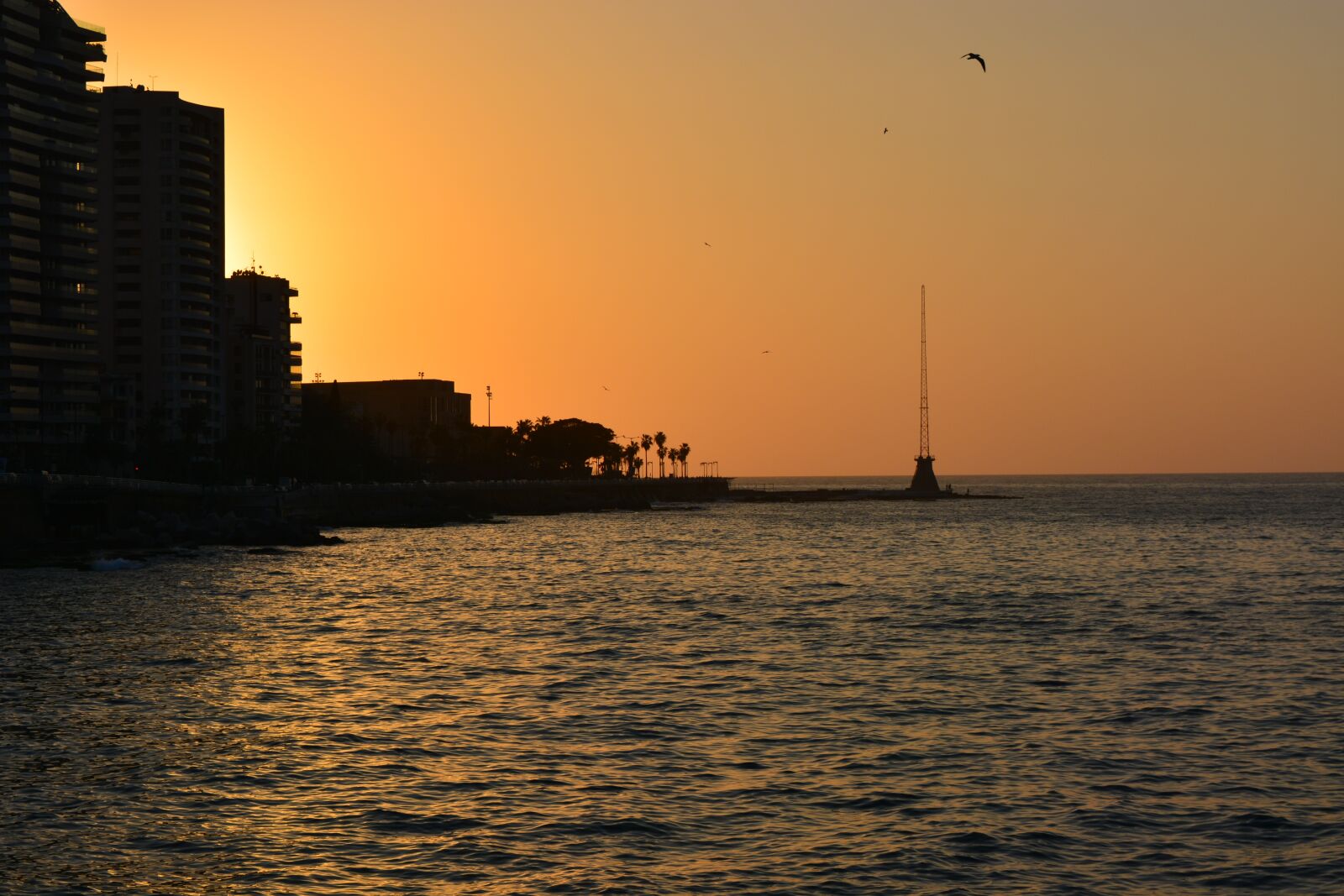 Nikon D5200 sample photo. Orange, sunset, beirut photography