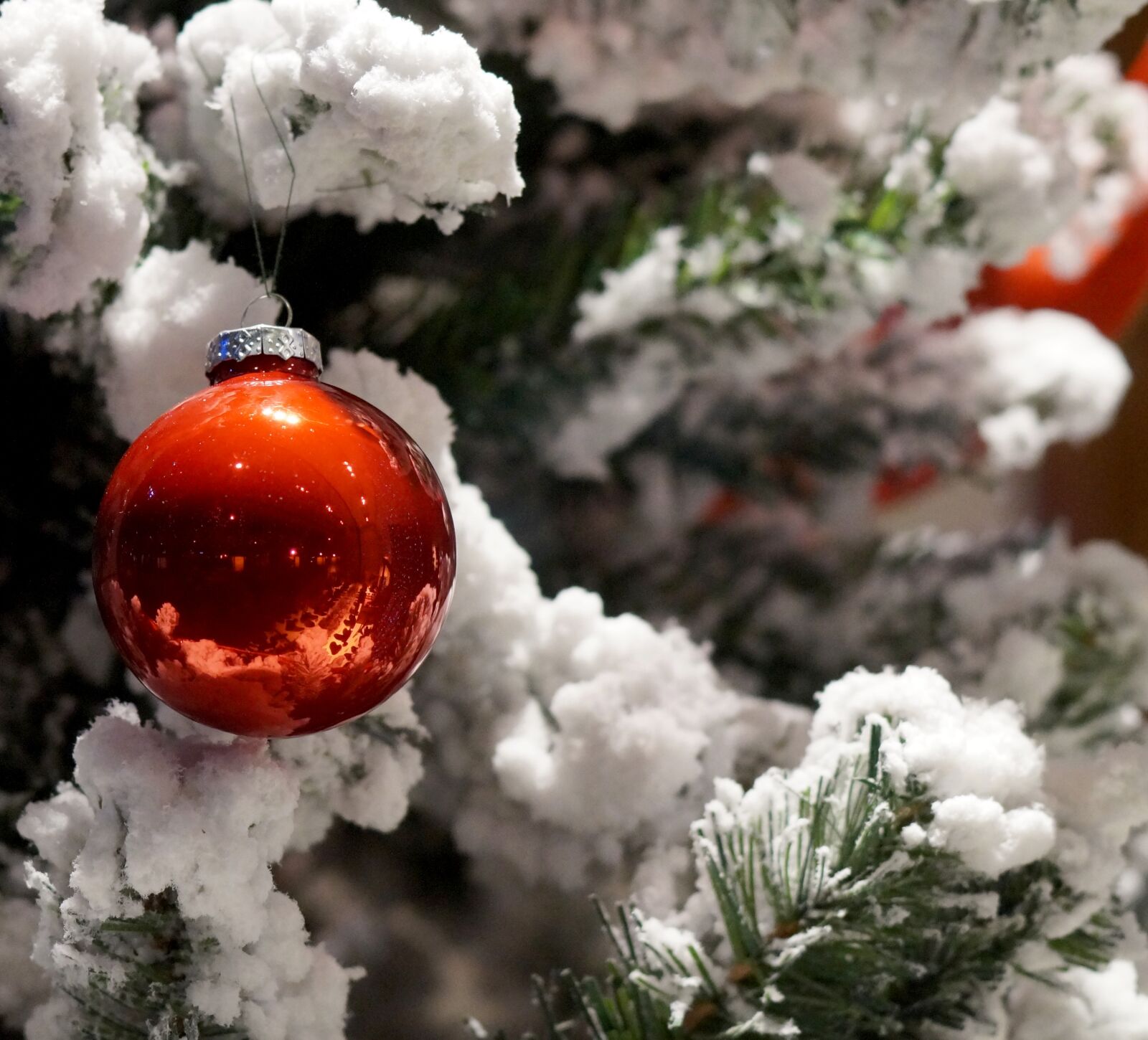Sony SLT-A58 + Minolta AF 50mm F1.4 [New] sample photo. Christmas, christmas tree, snow photography
