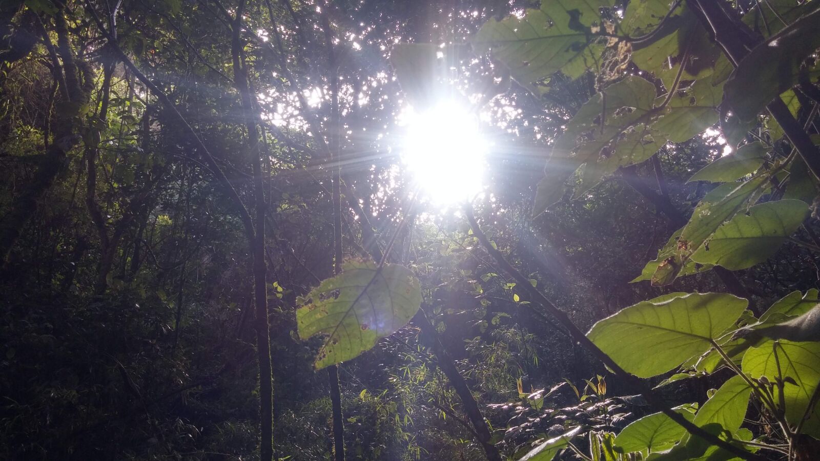 LG G3 sample photo. Paisaje, naturaleza, cielo photography